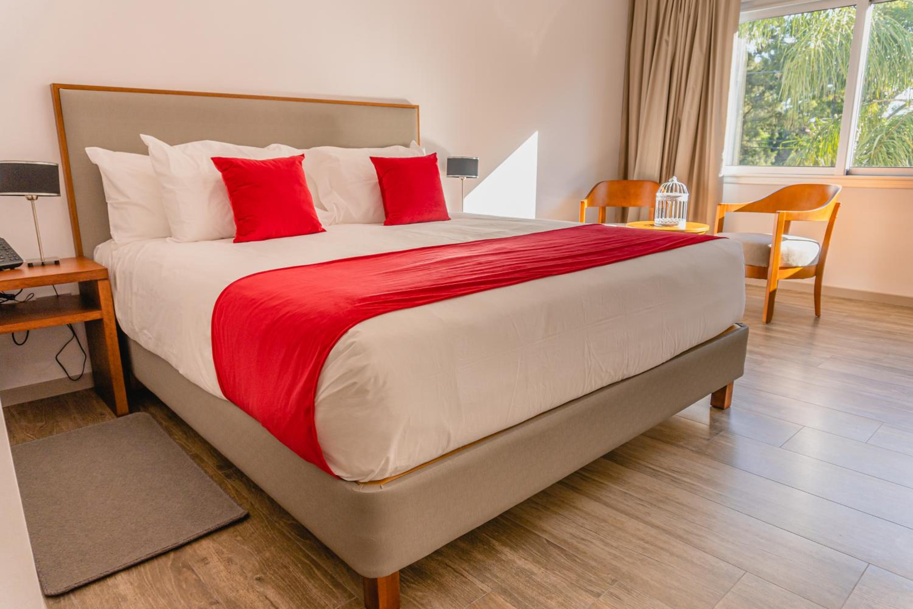 Standard King Room photo 1