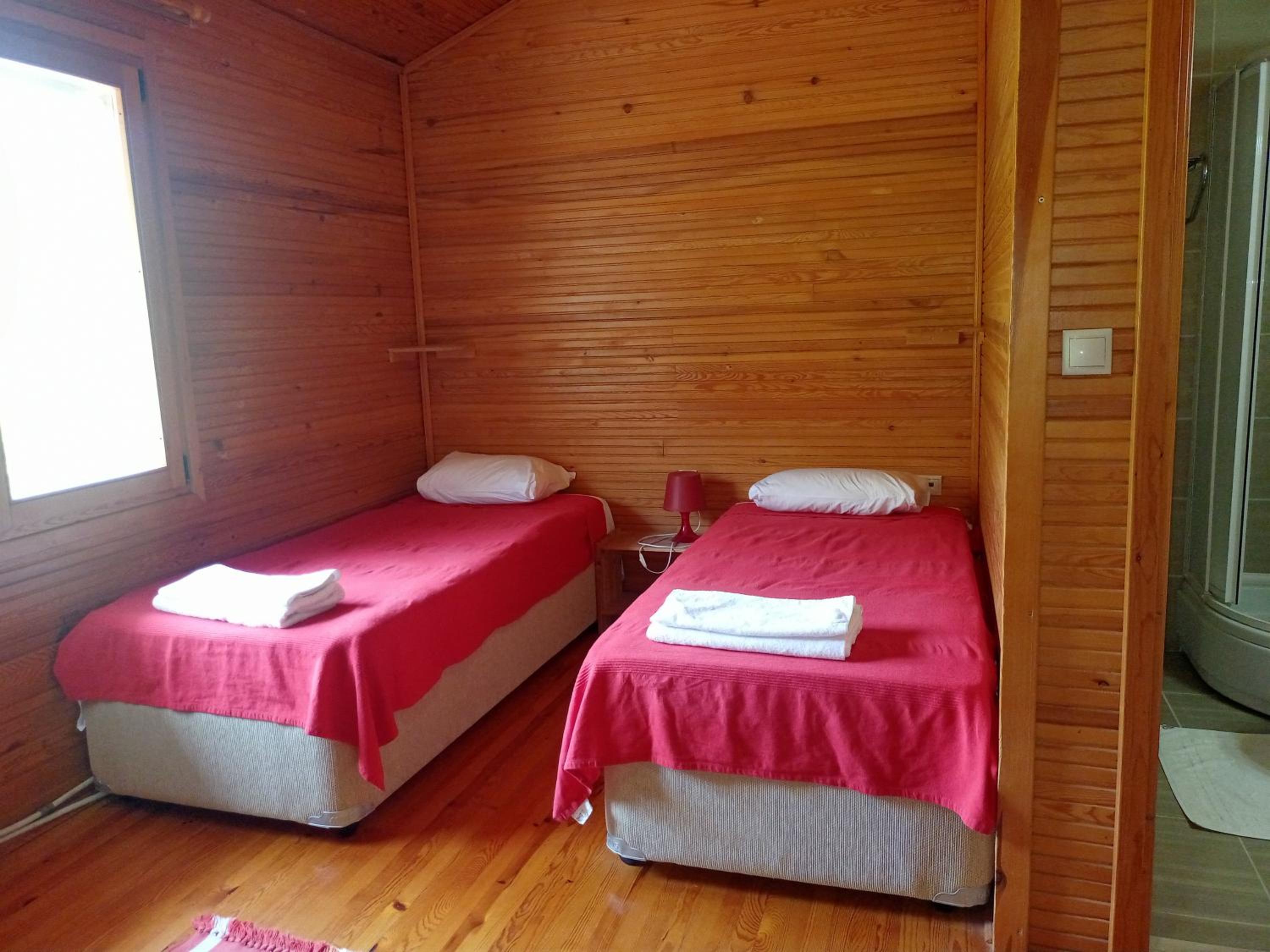 Twin Room photo 1