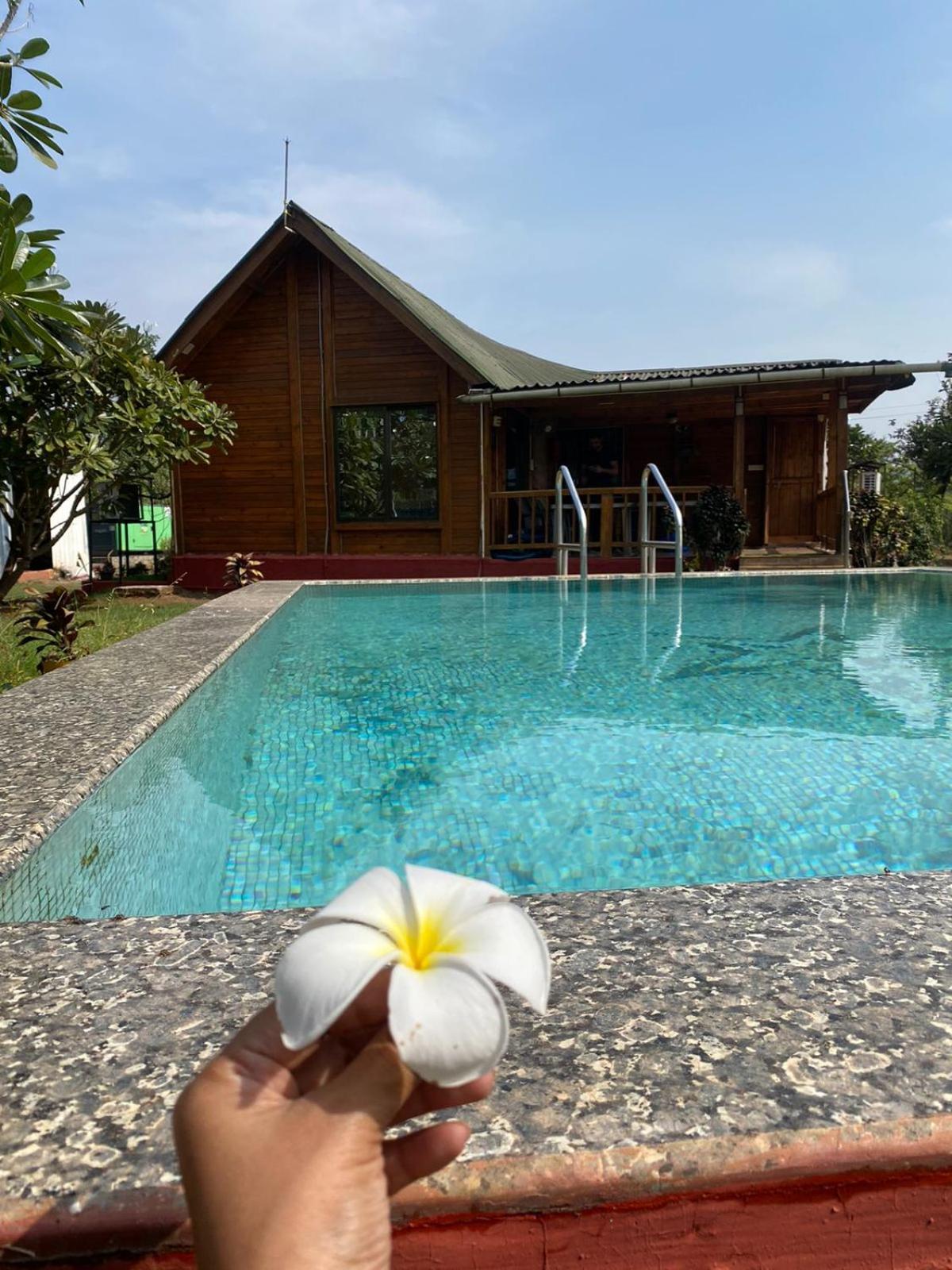 Chalet photo 2