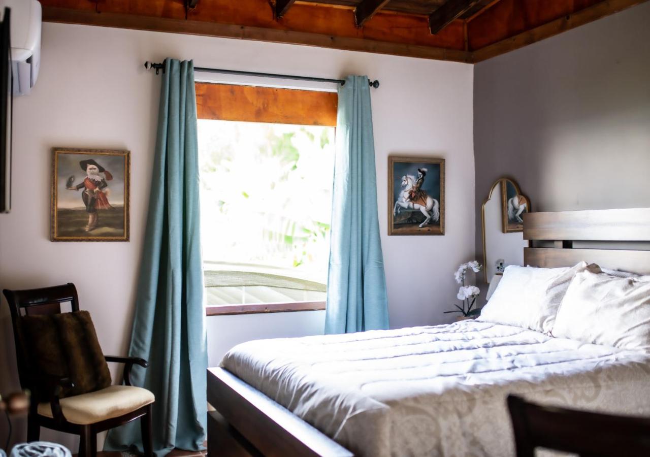 One-Bedroom House photo 3