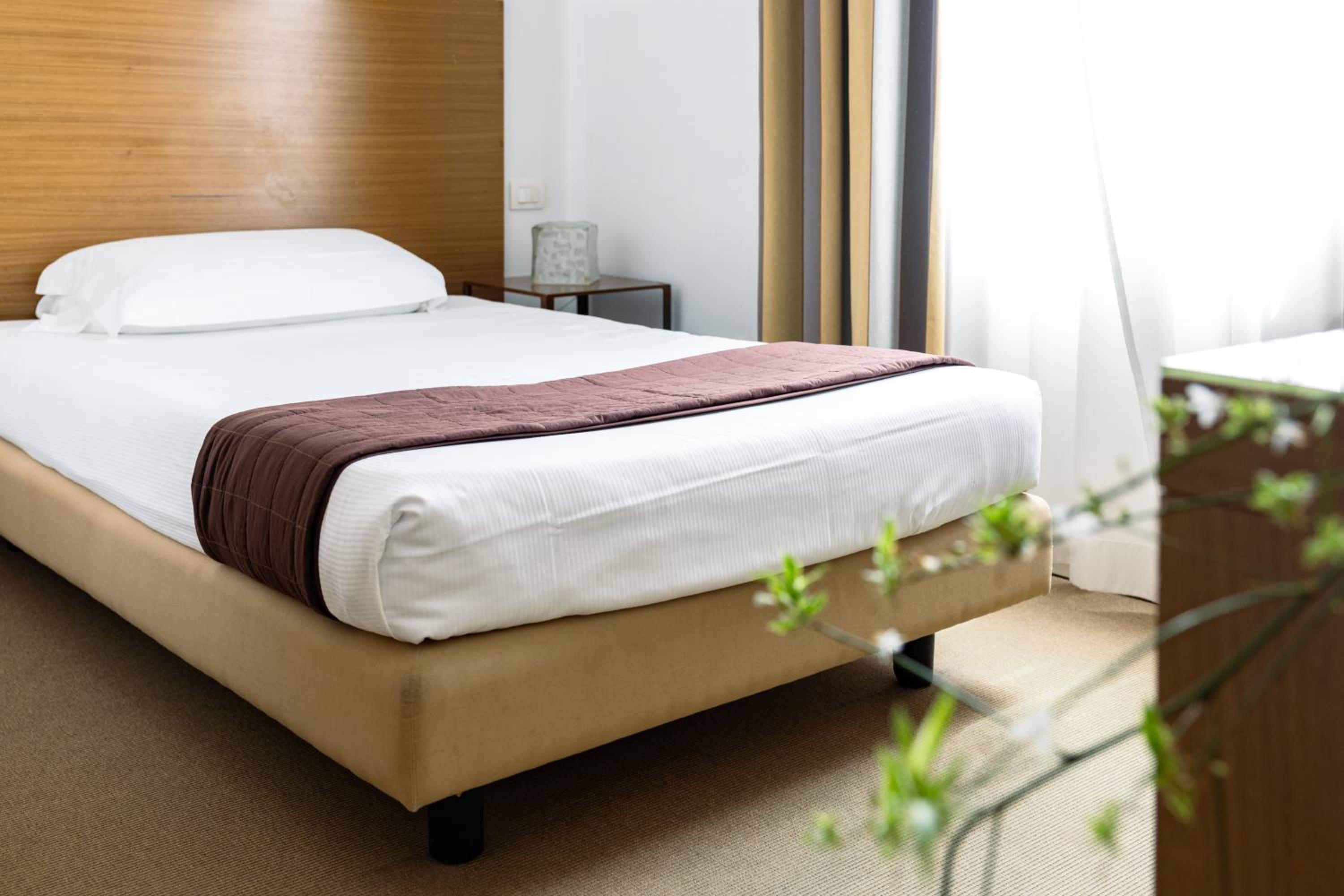 Single Room photo 3