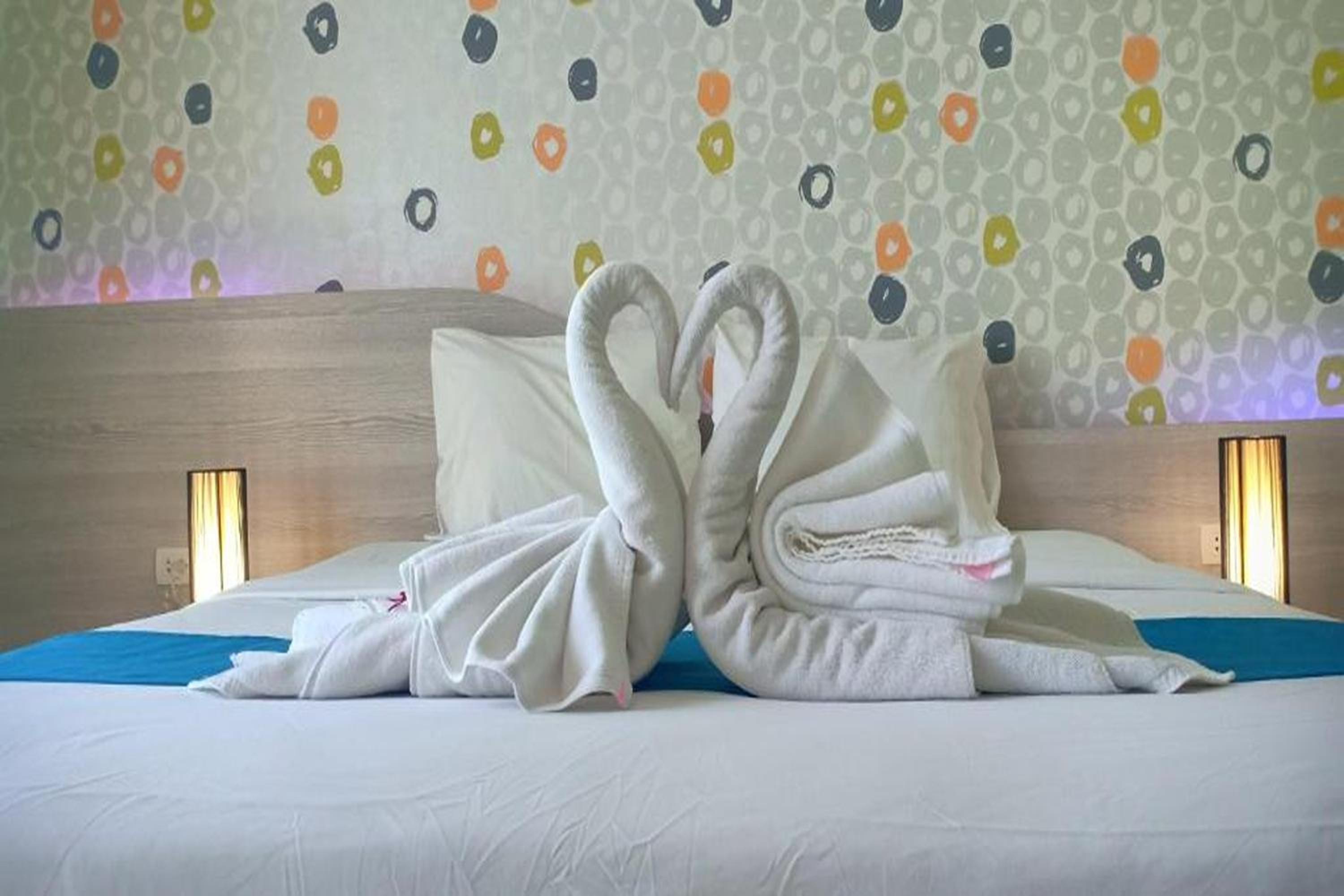 Superior Double Room - Photo 2