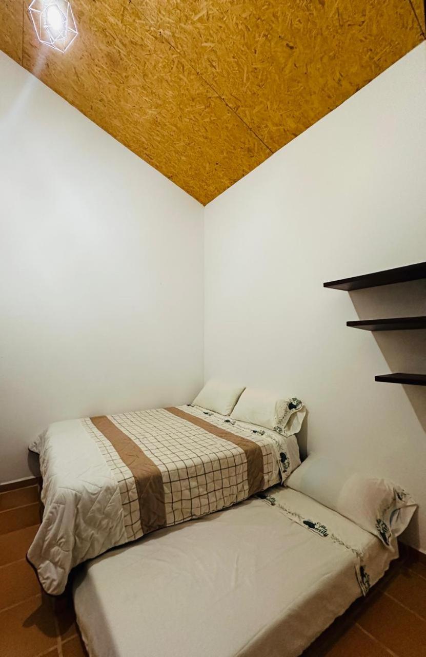 Twin Room photo 1