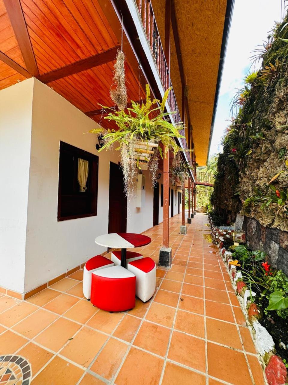 Double Or Twin Room With Garden View photo 2