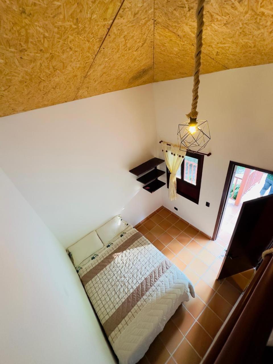 Twin Room photo 3