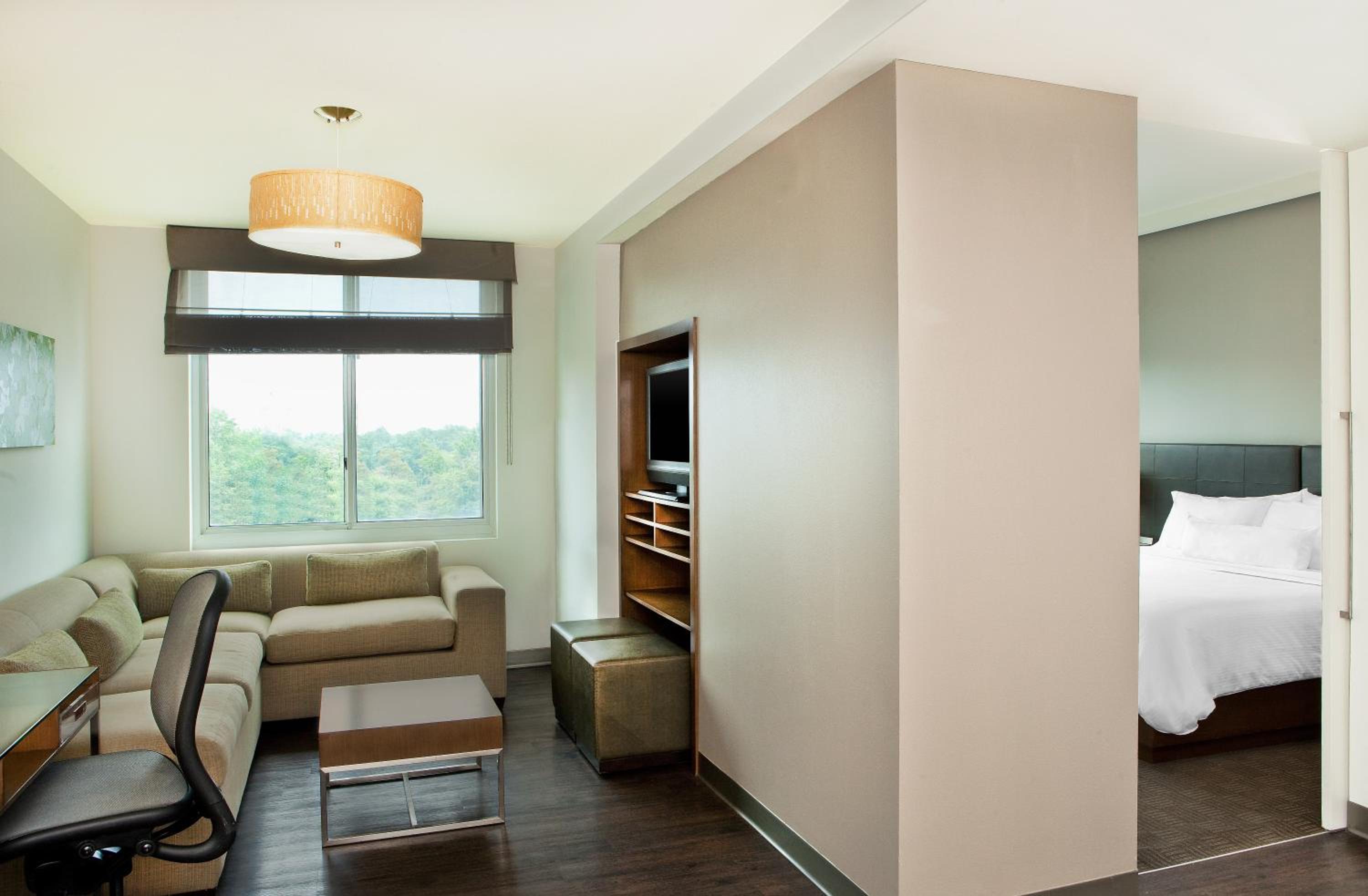 1 Bedroom Suite, 1 King, Sofa bed