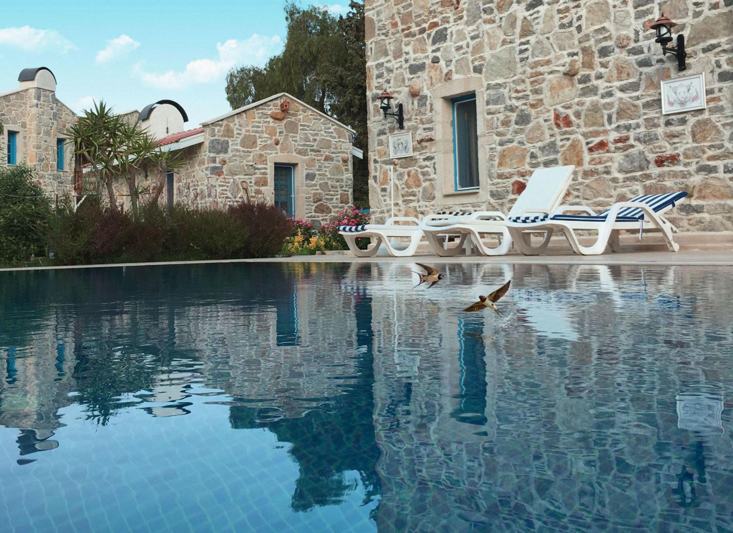 Double Room with Pool View photo 3