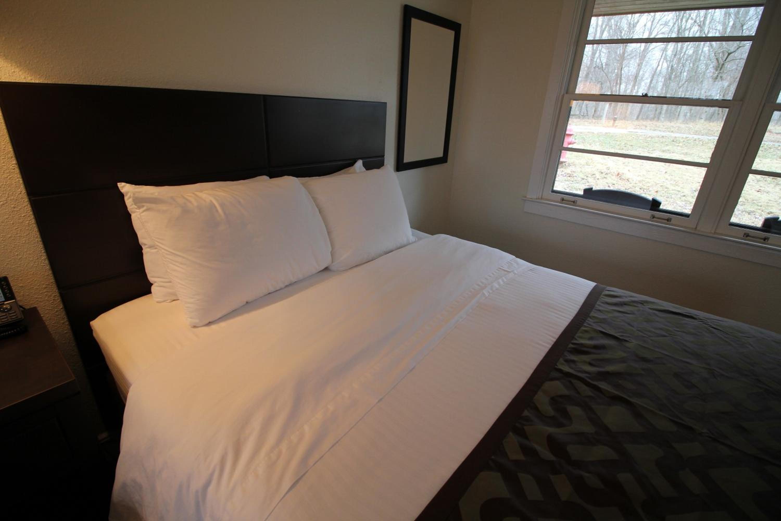 Quadruple Room with Terrace photo 2