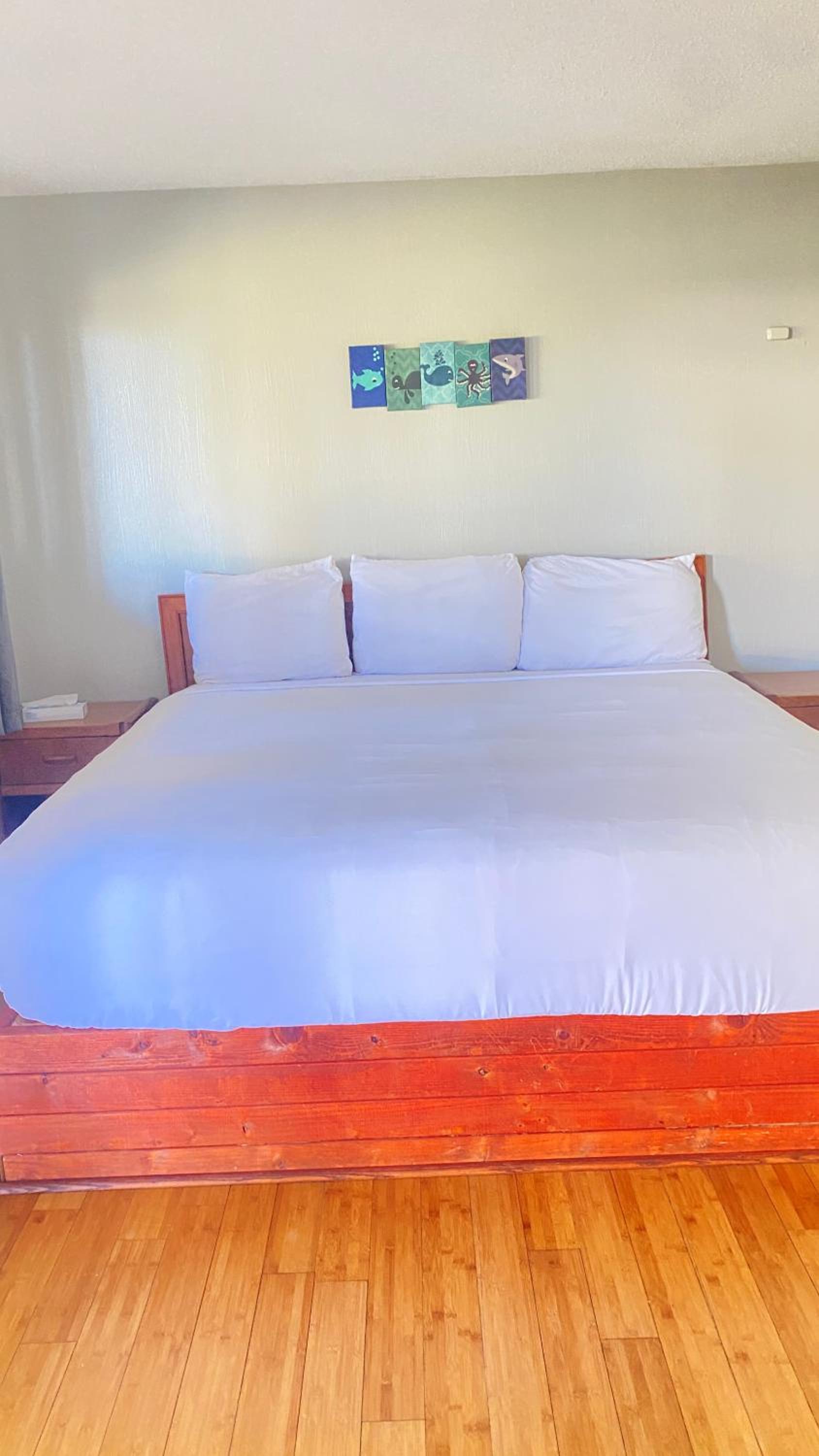 One-Bedroom King Suite - Photo 10