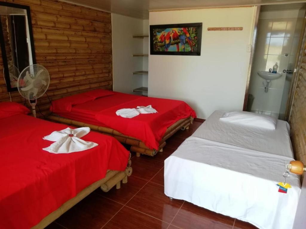Double Room photo 1