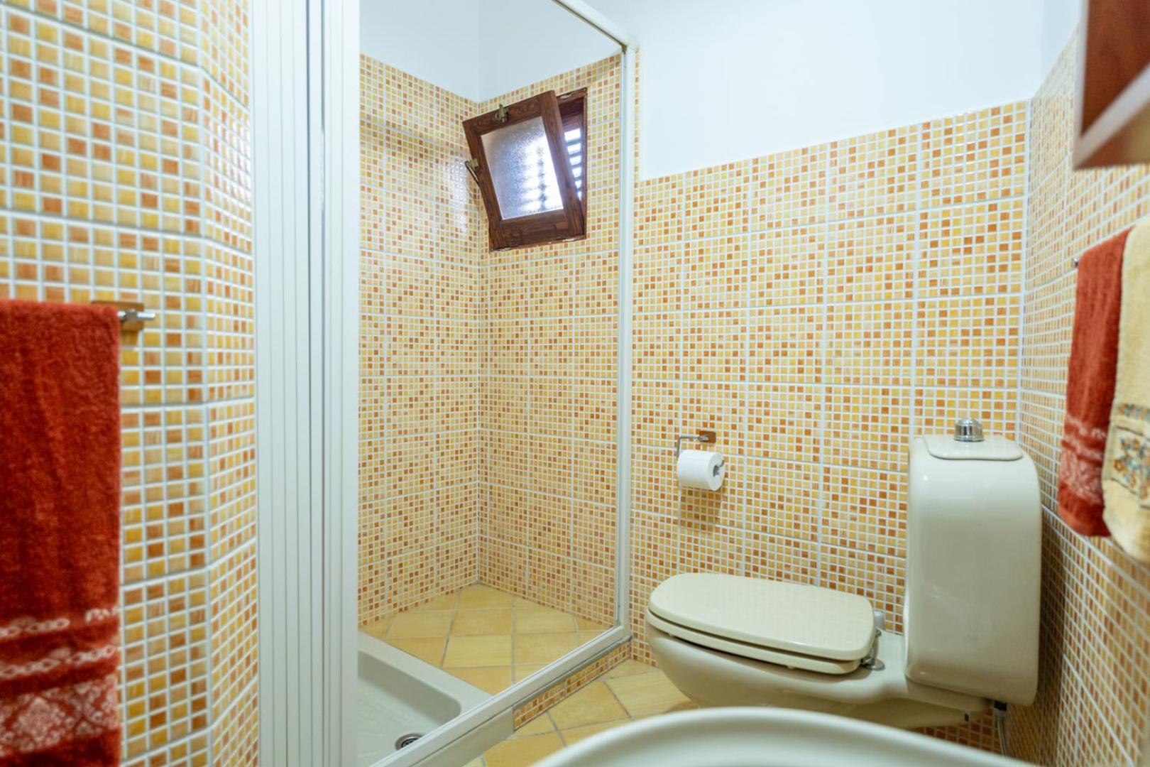 Apartment with Terrace photo 3