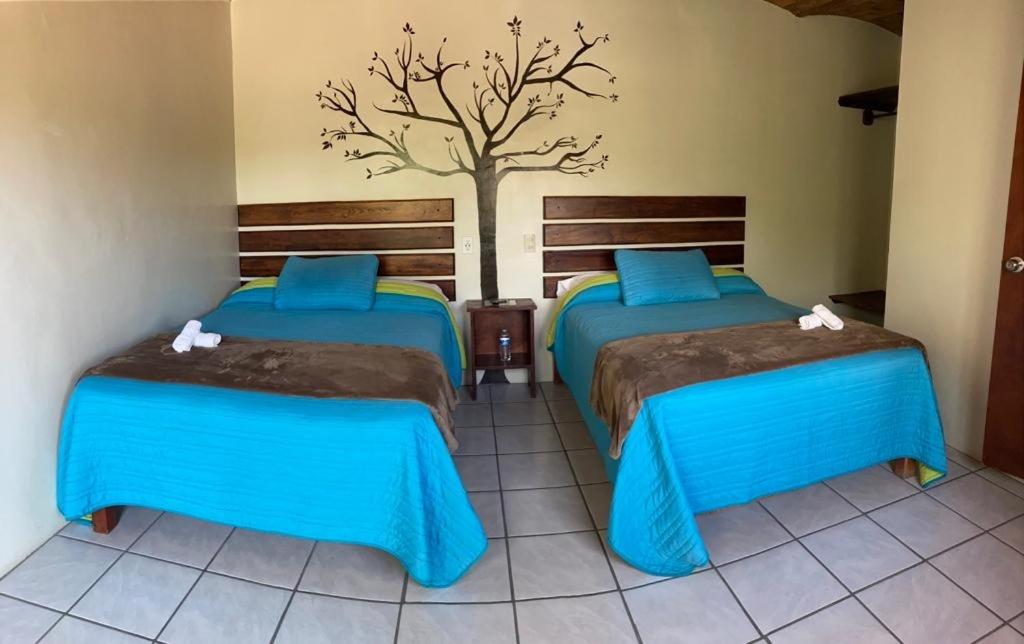 Double or Twin Room photo 2