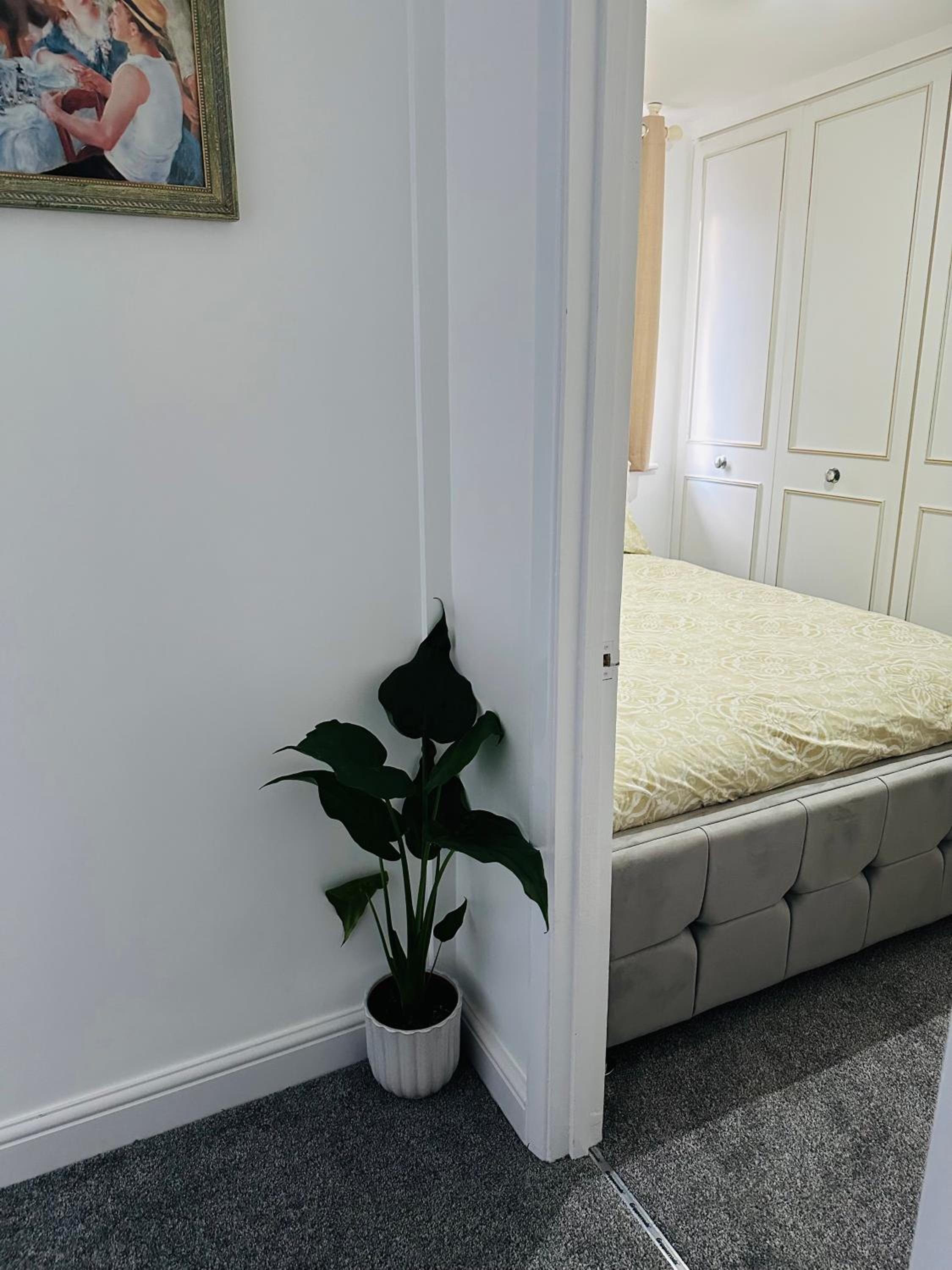 Single Room photo 3