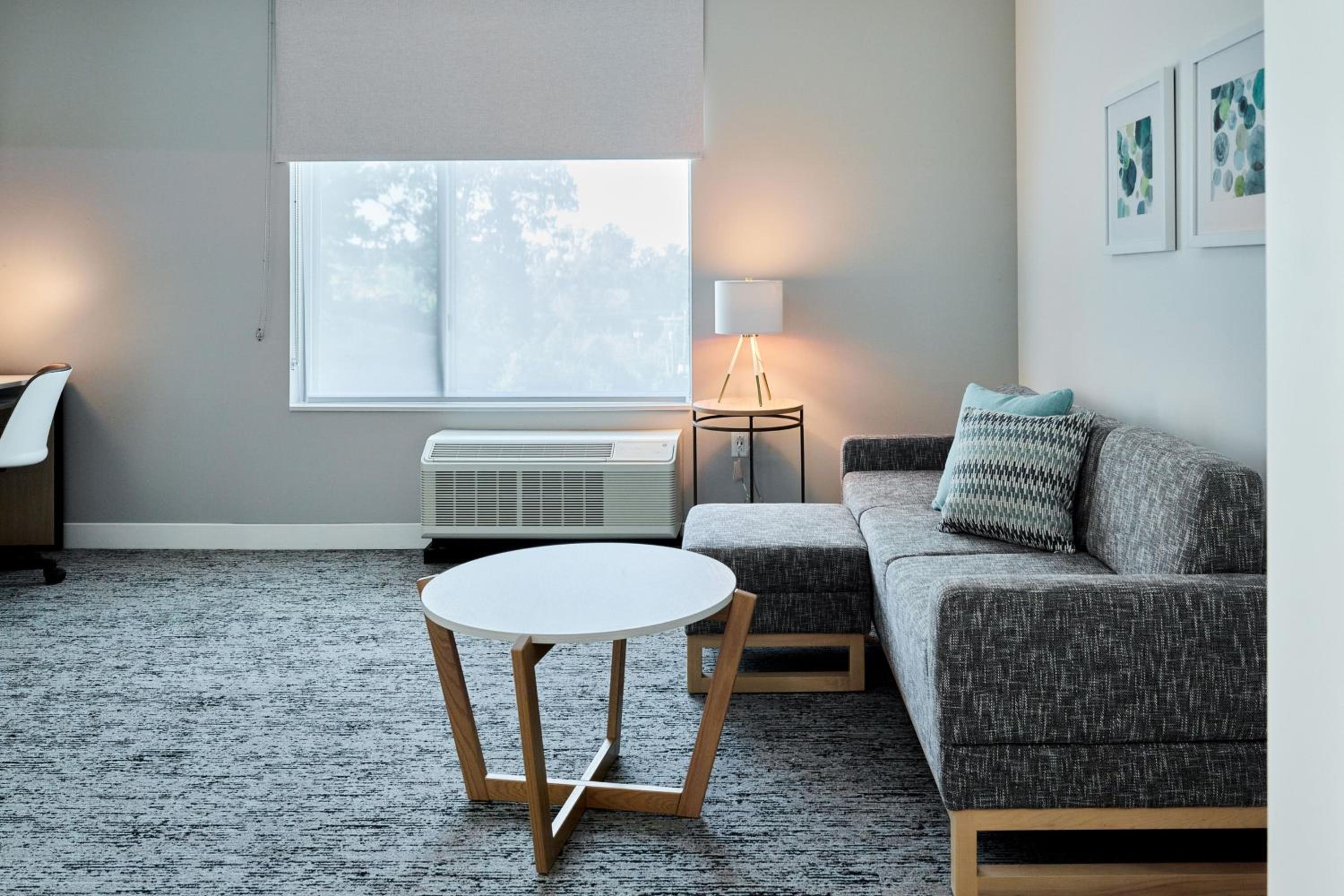 One-Bedroom King Suite with Sofa Bed  - Photo 13