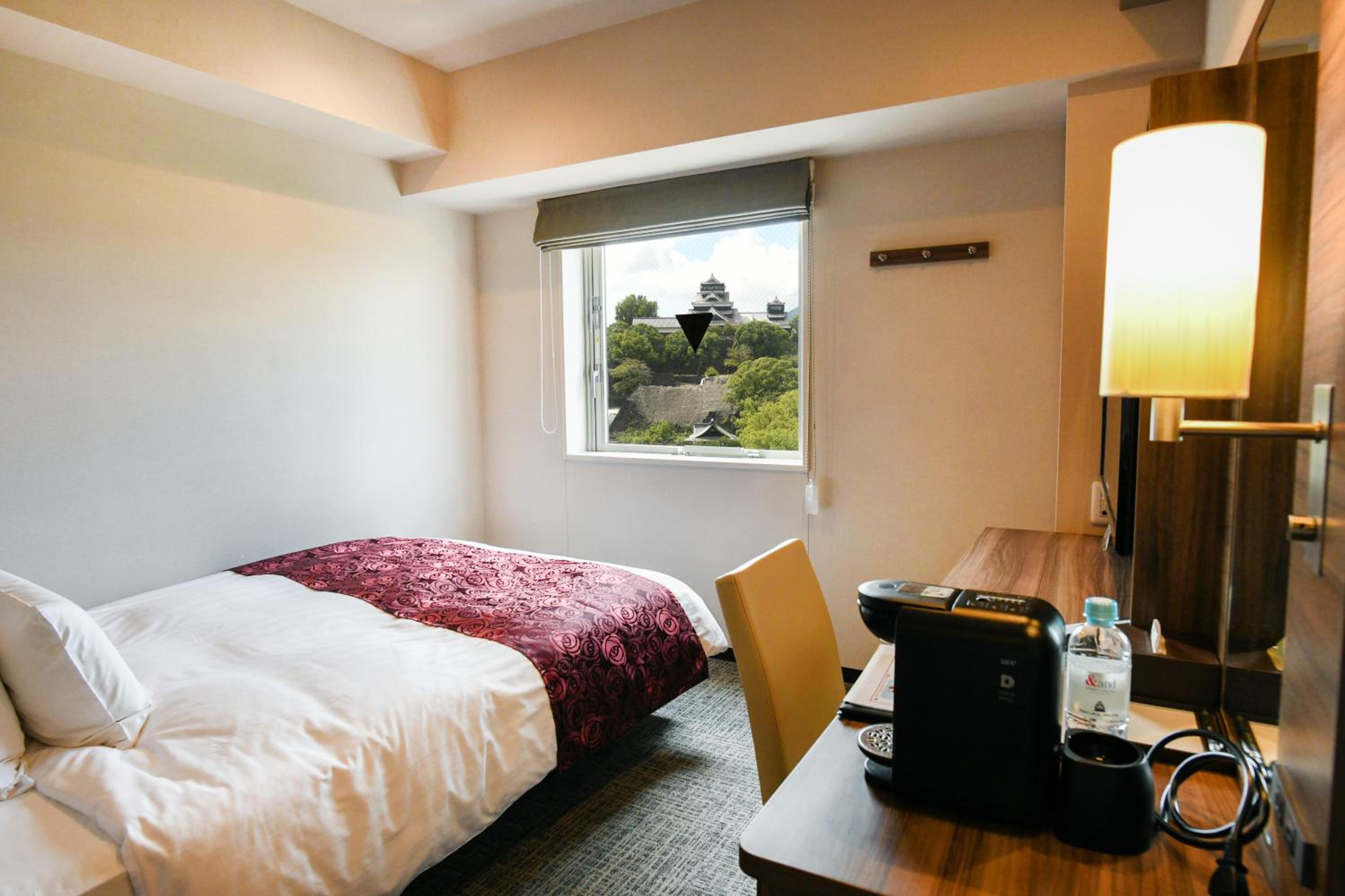 Single Room with Castle View - Non-Smoking
