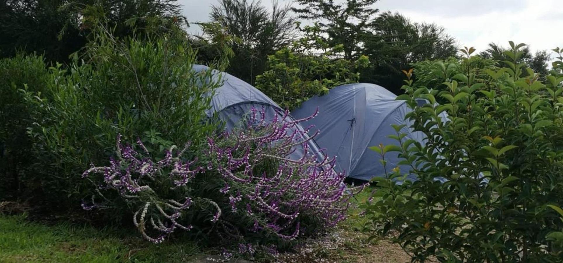 Tent photo 2
