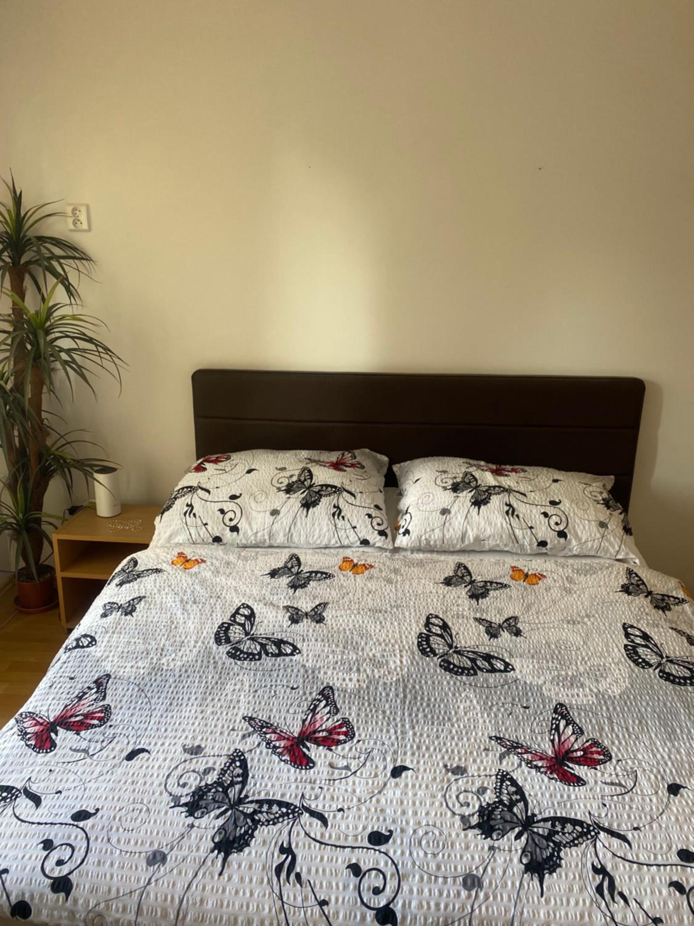 Deluxe Apartment photo 3
