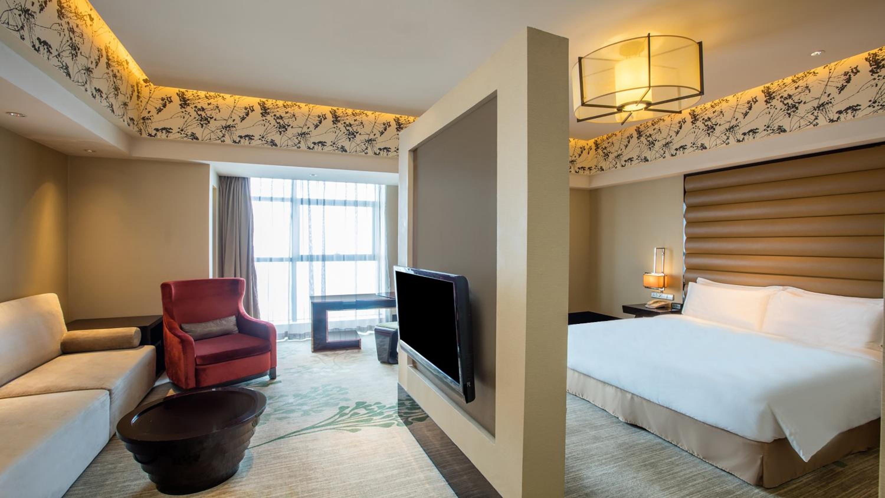 Suite - Photo 4