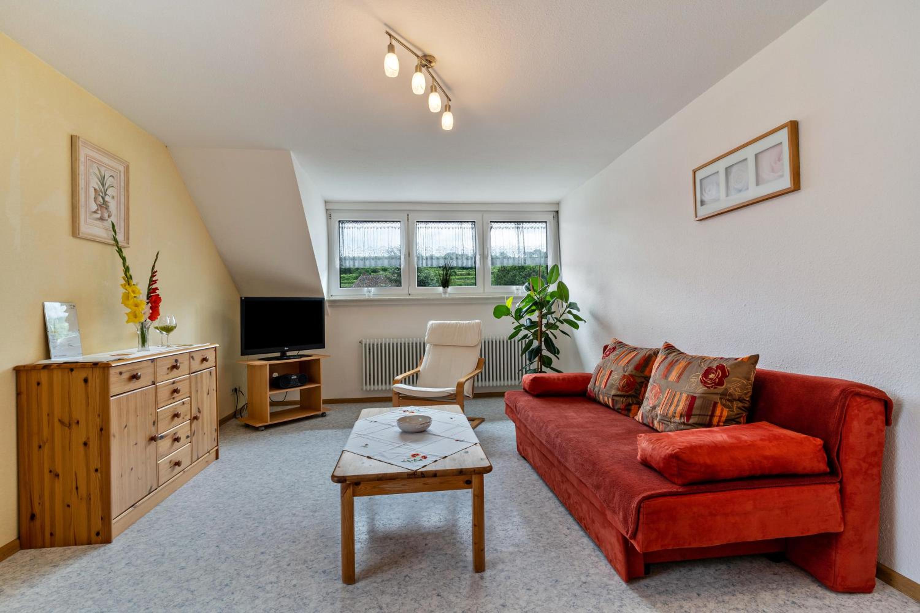 Superior One-Bedroom Apartment with Balcony photo 1