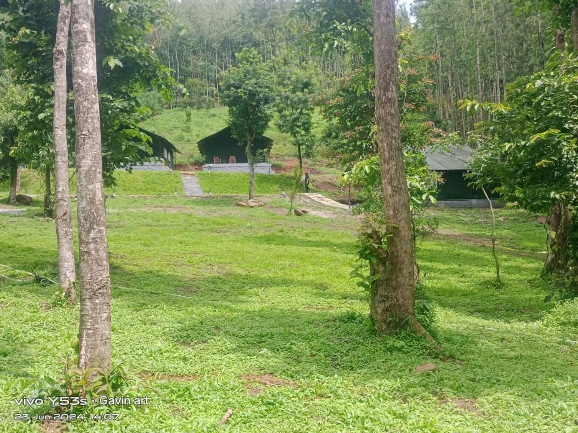 Tent - Photo 14