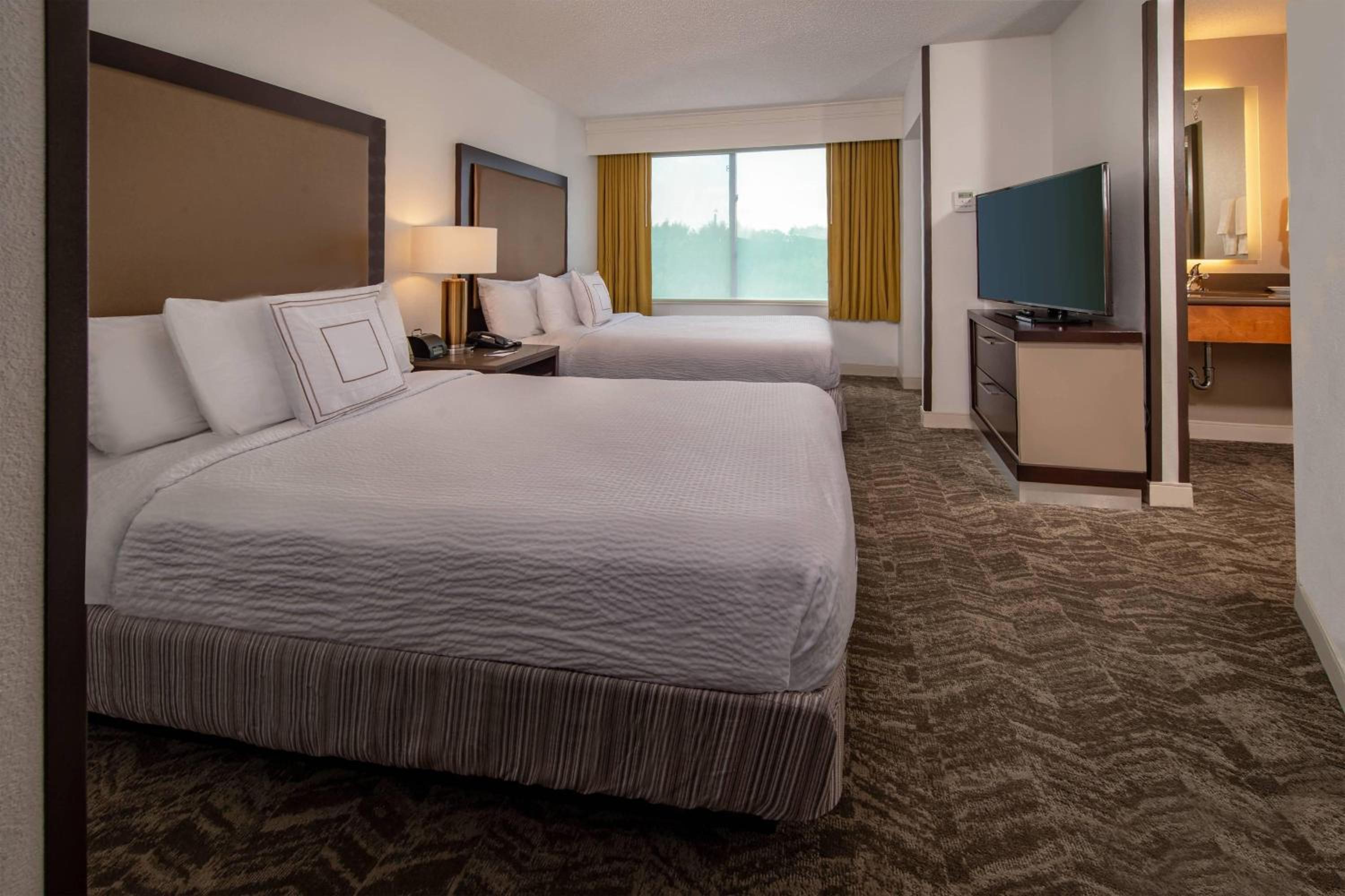 Suite with Sofa Bed - Photo 1