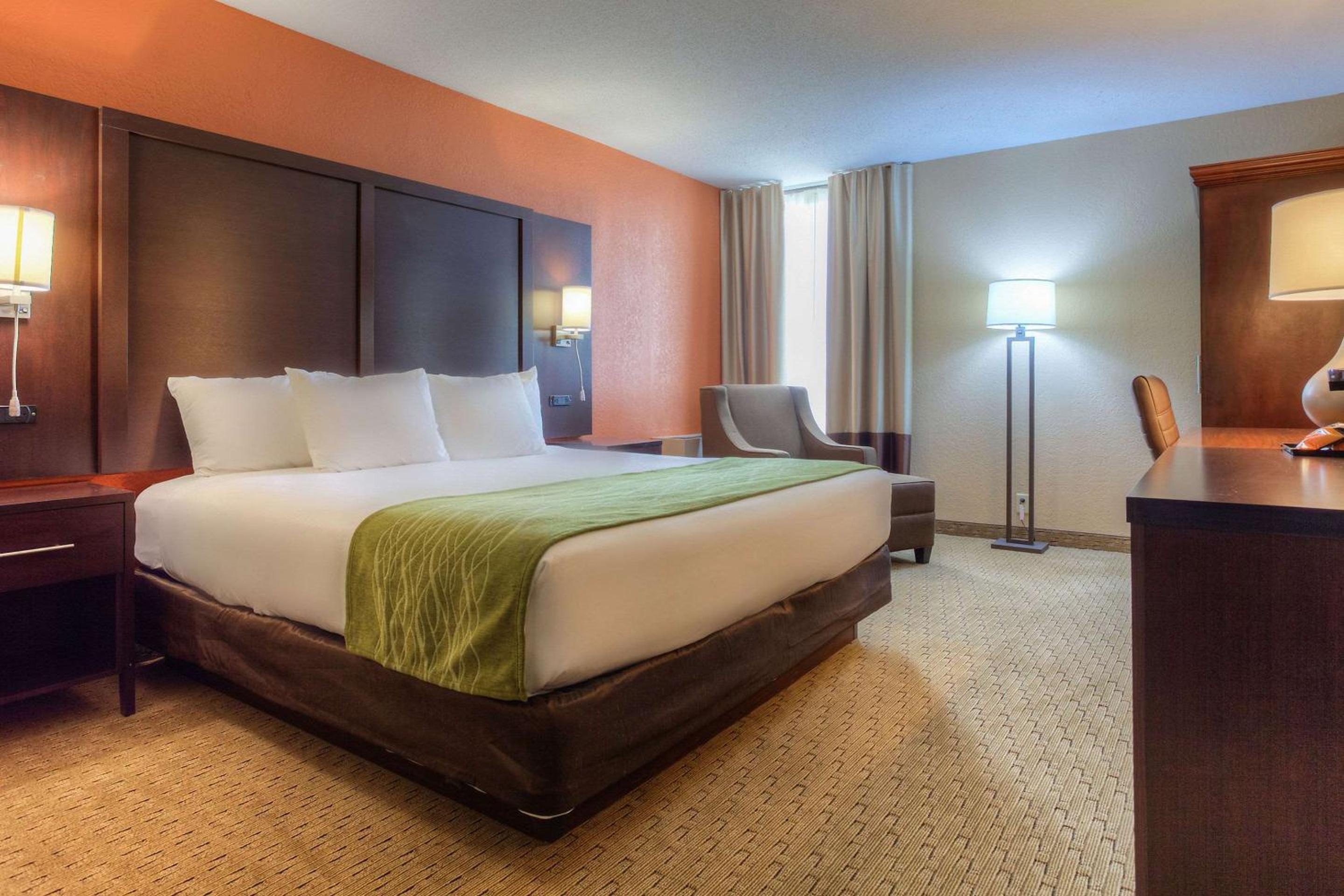 King Room - Non-Smoking - Photo 4