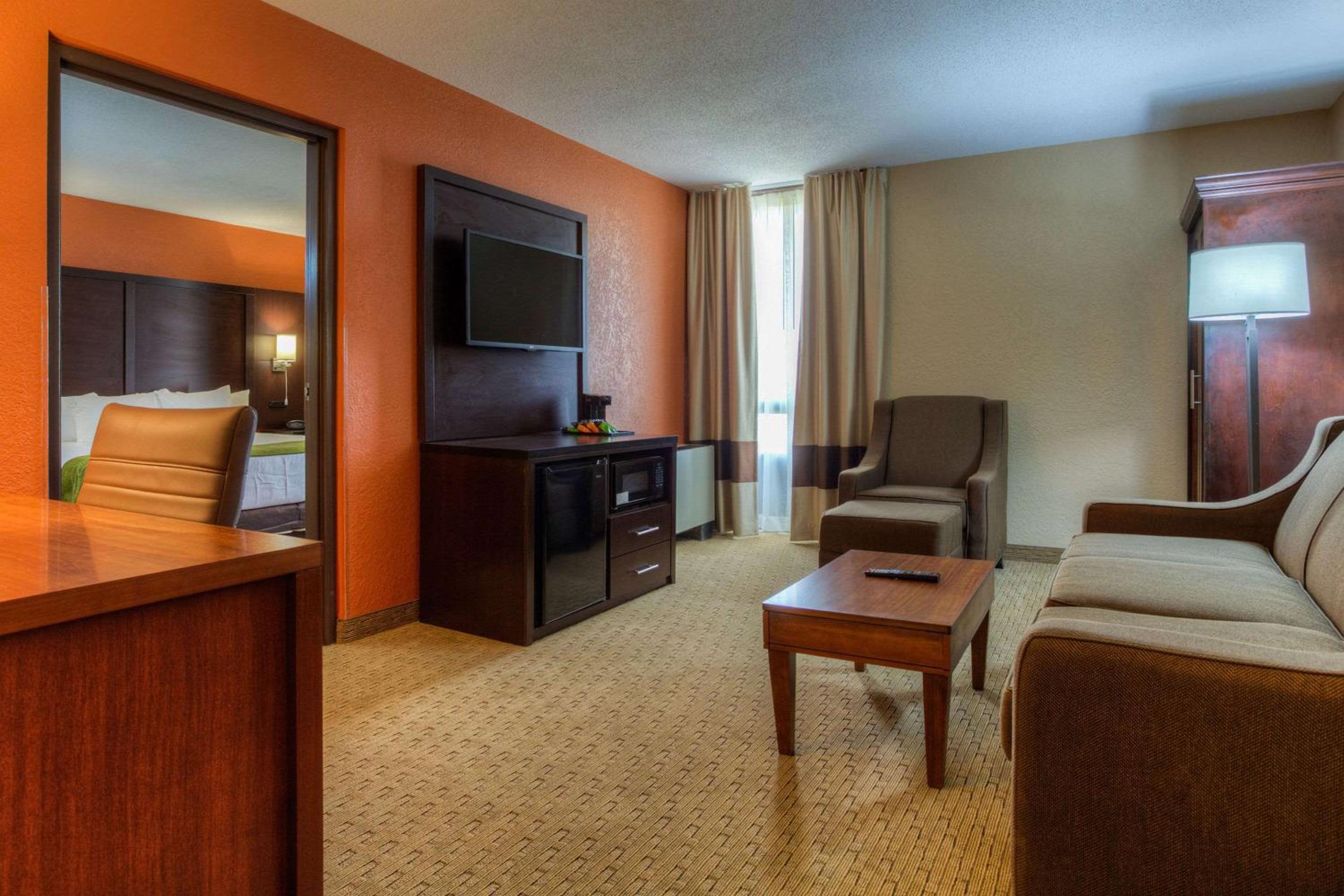 King Suite- Non-Smoking - Photo 4