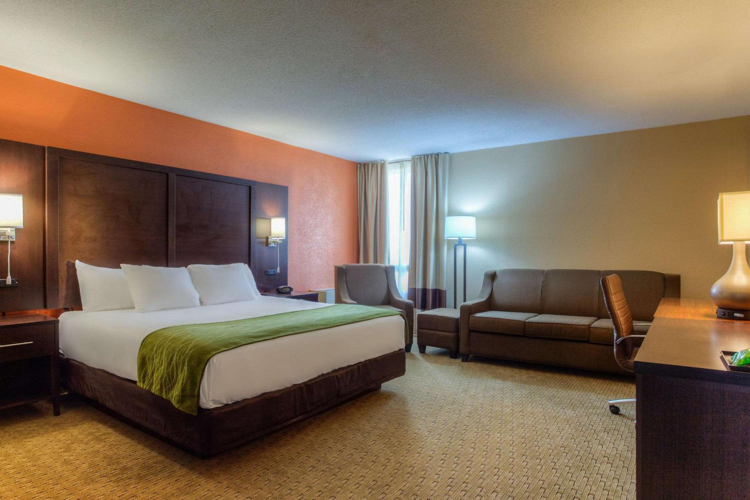 King Suite with Sofa Bed - Non-Smoking - Photo 3