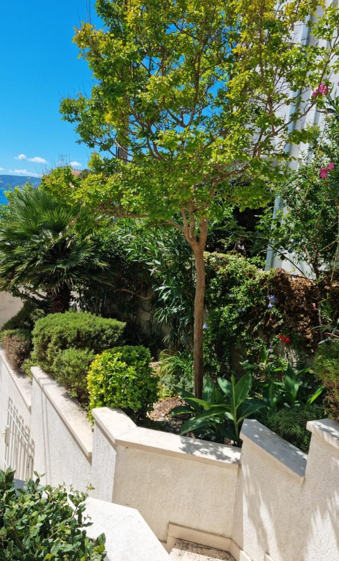 Villa photo 2