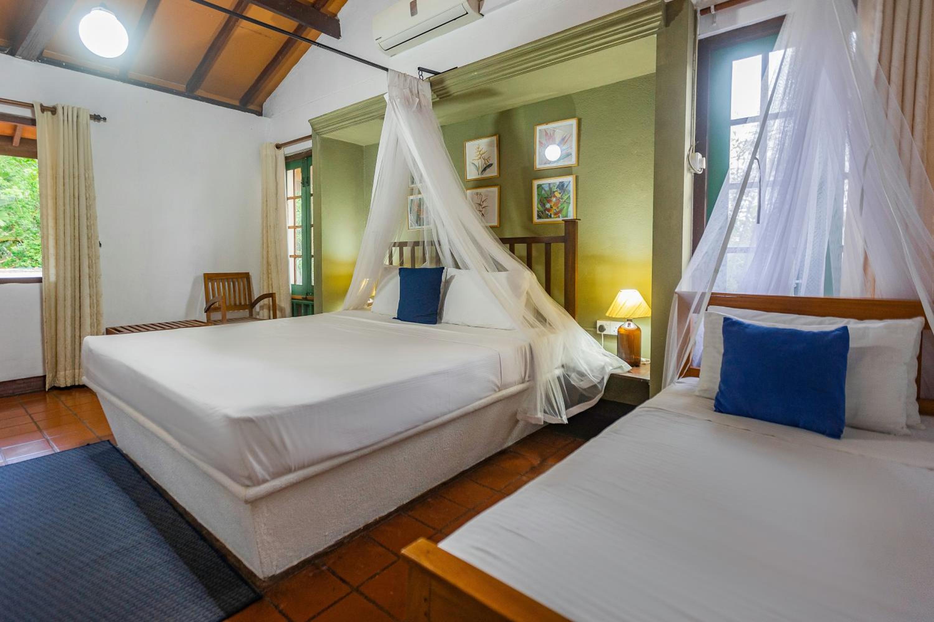 Deluxe Triple Room photo 3