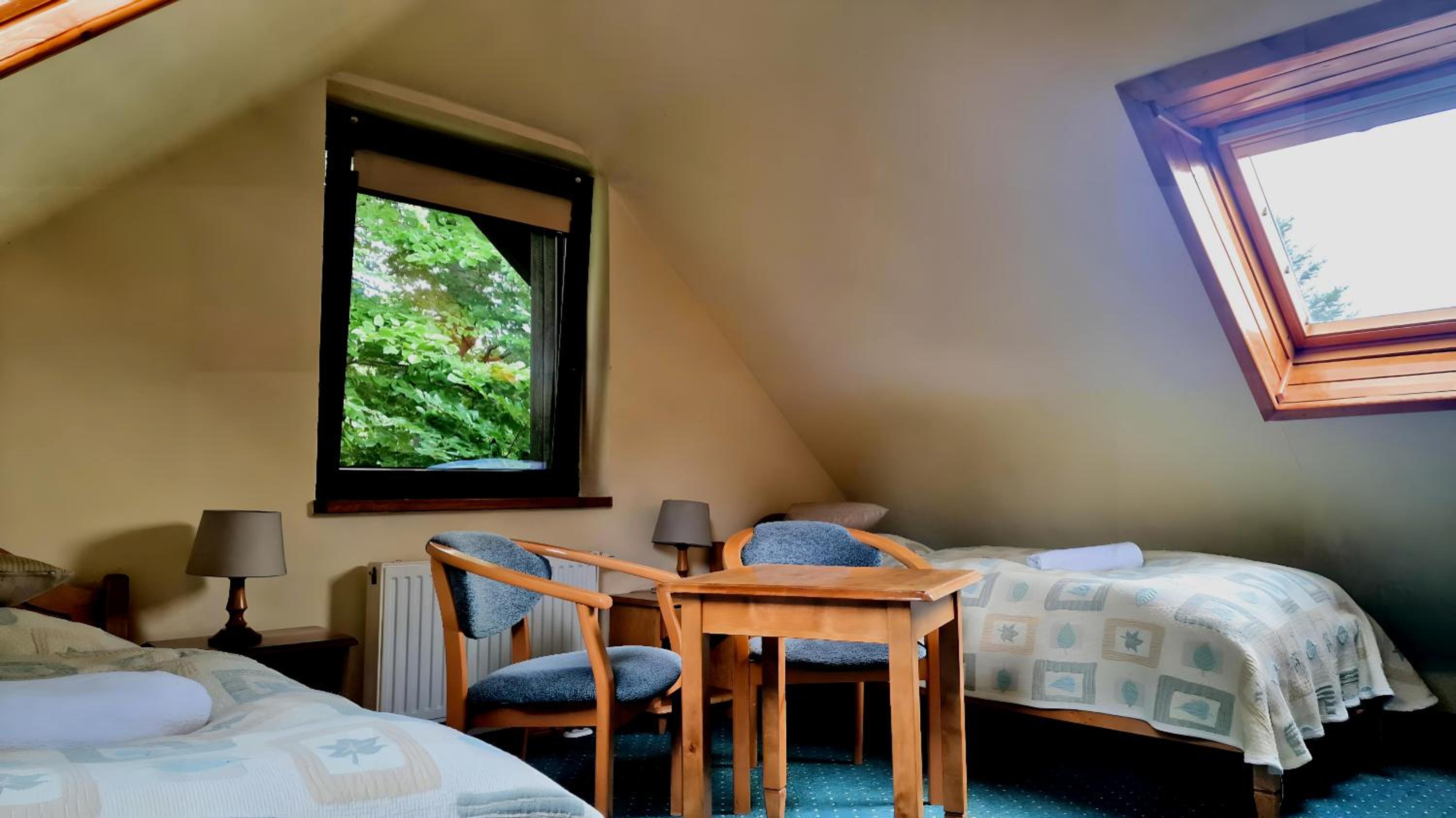 Large Twin Room - Photo 2