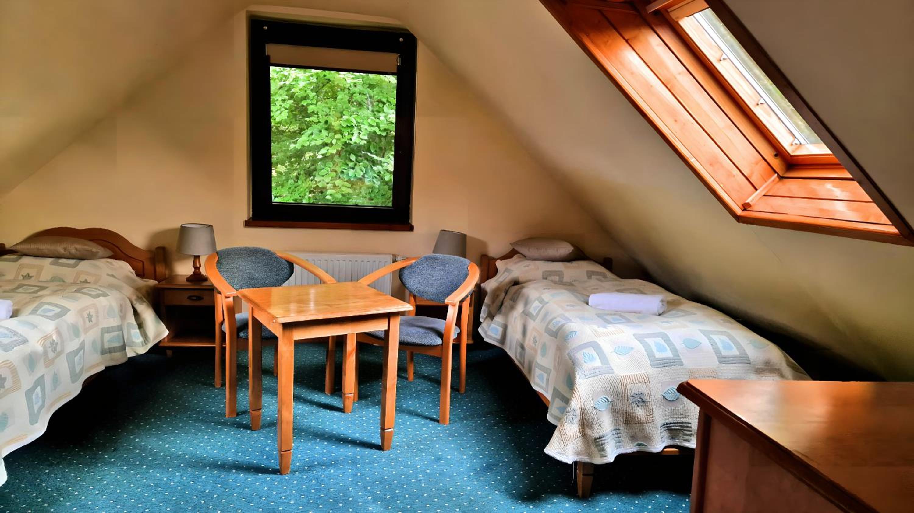 Large Twin Room - Photo 7