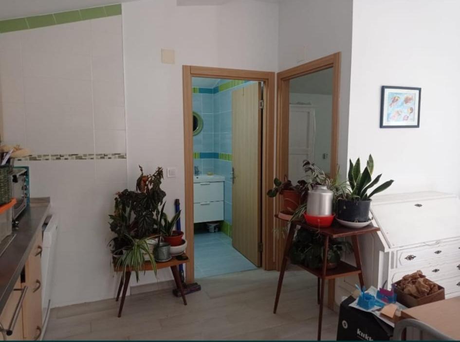 One-Bedroom House photo 3