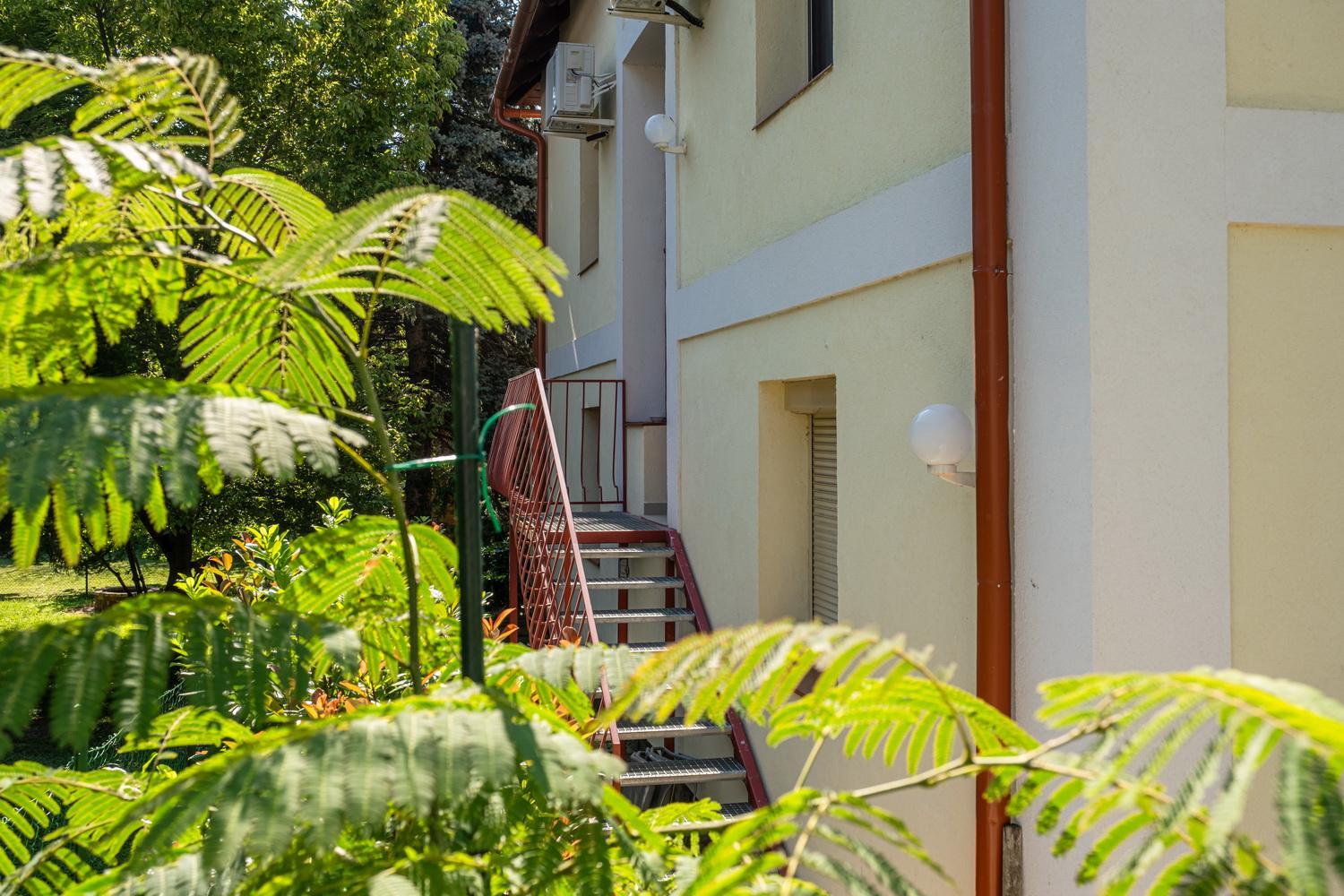 Apartment with Terrace - Photo 9
