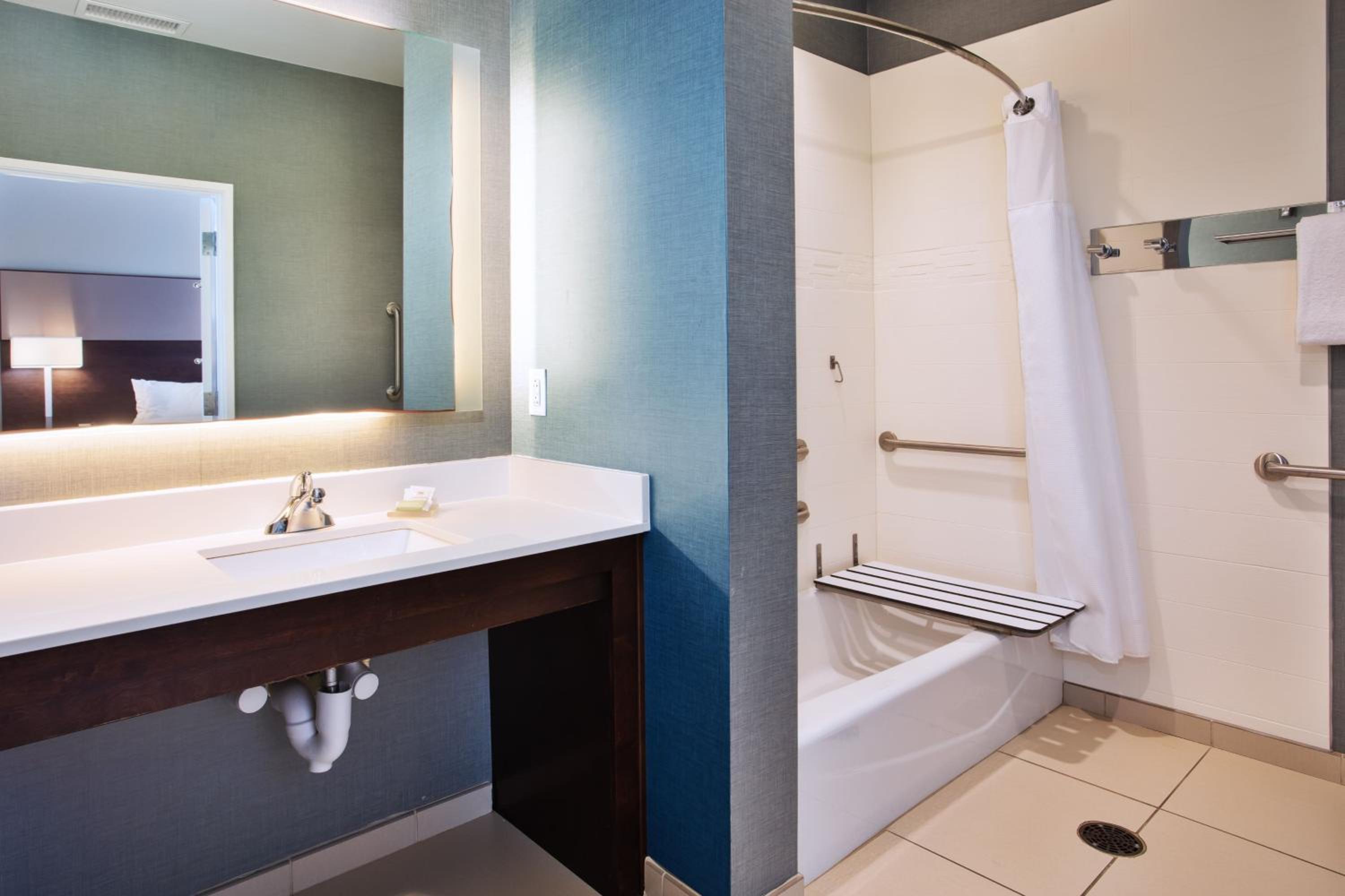 One-Bedroom Queen Suite with Sofa Bed - ADA photo 2