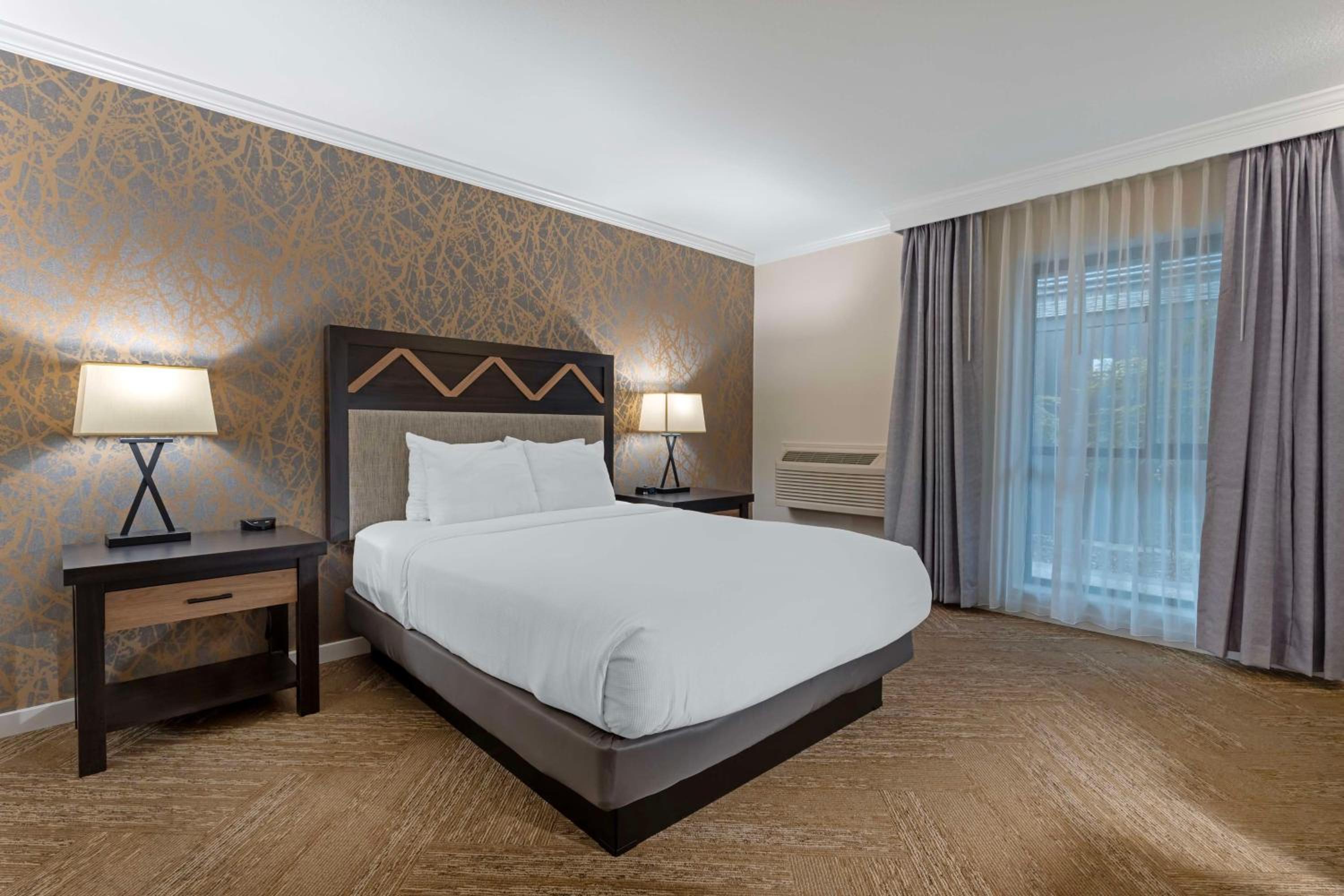 Queen Room with Roll-In Shower - Mobility Accessible/Non-Smoking photo 1