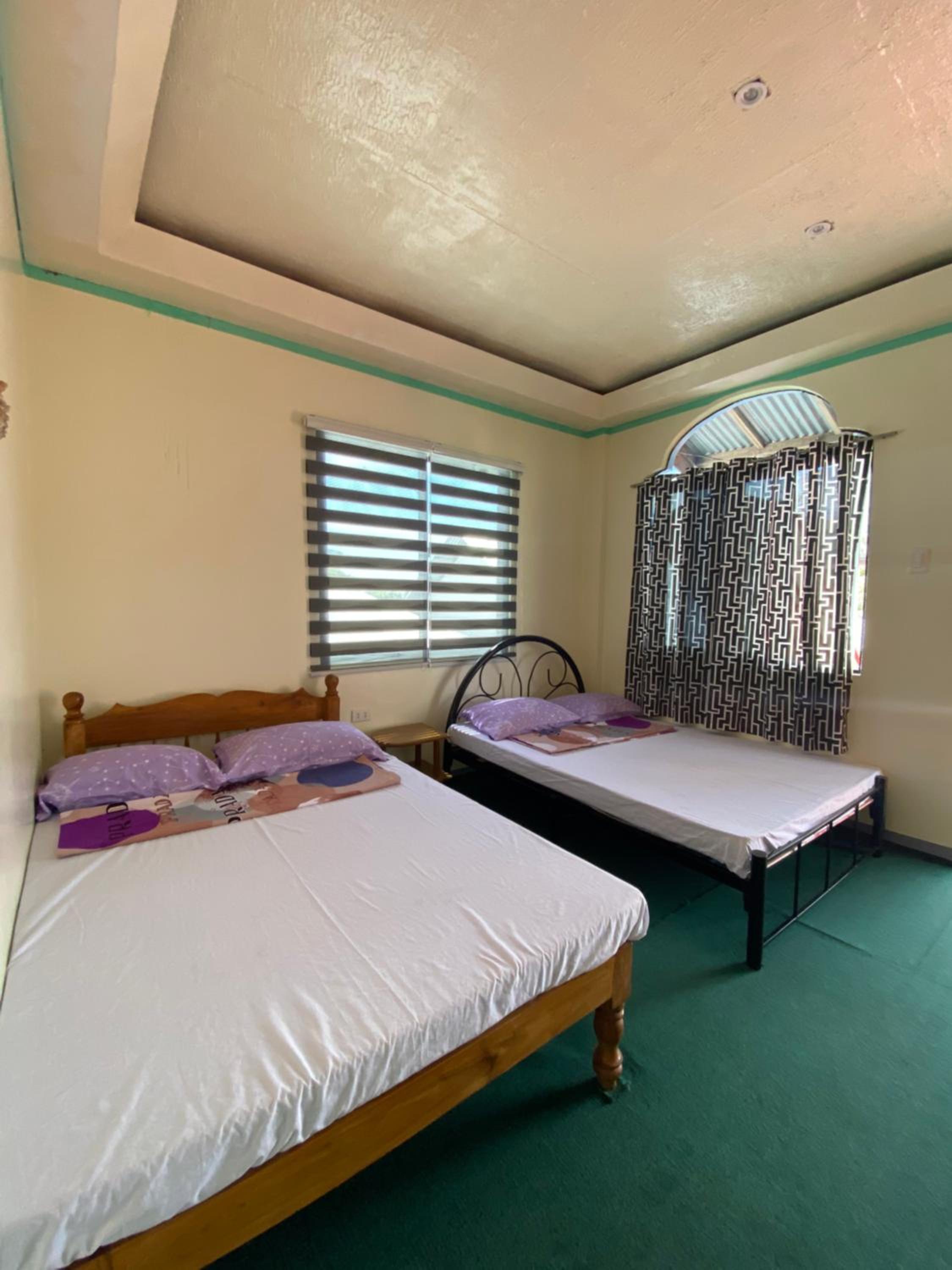 Twin Room photo 3
