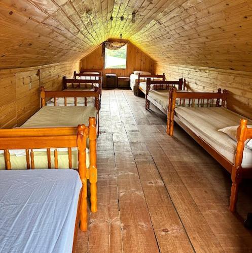 Single Bed in Dormitory Room photo 3