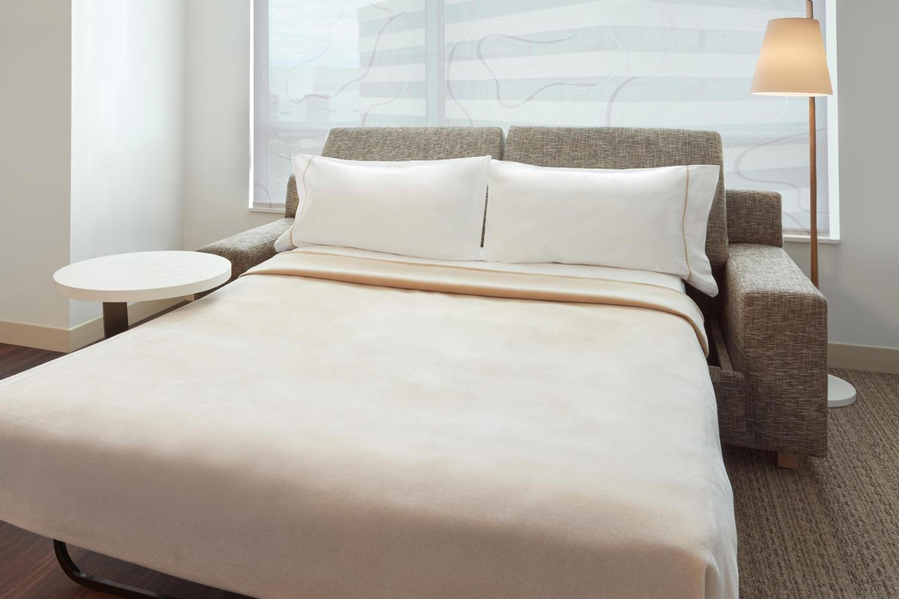 Studio, 2 Queen, Sofa bed