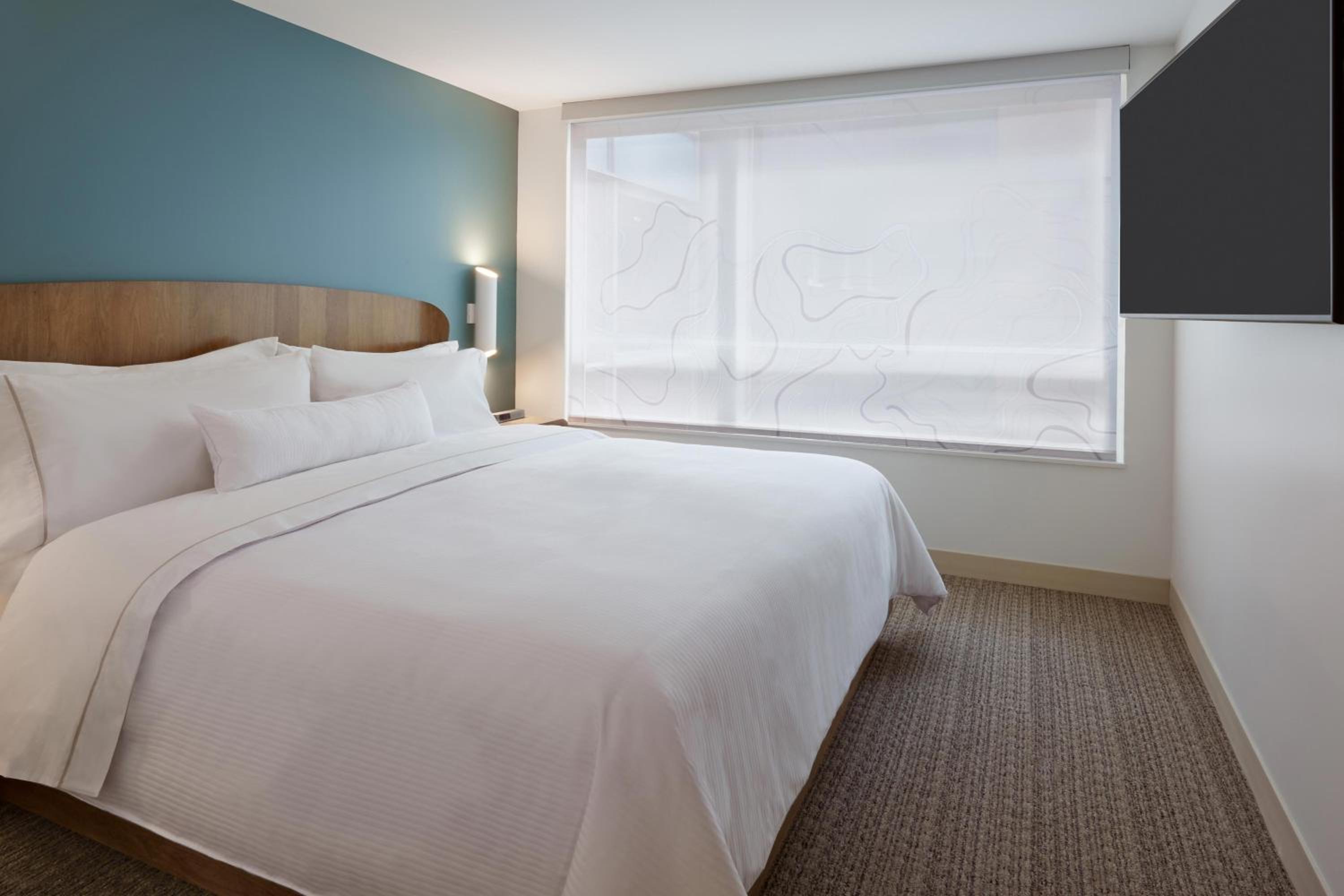 1 Bedroom Suite, 1 King, Sofa bed thumbnail 6