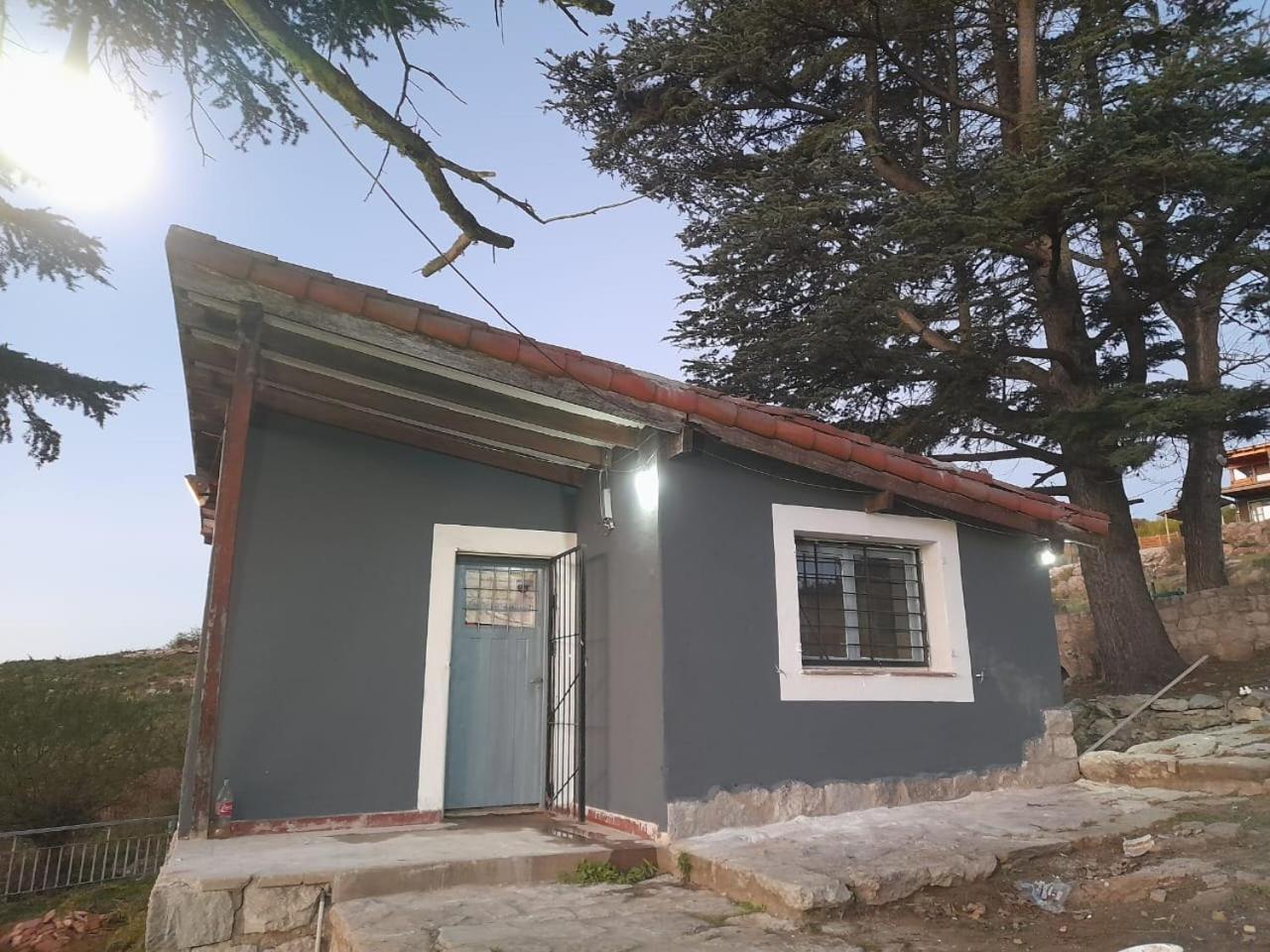 One-Bedroom House photo 3