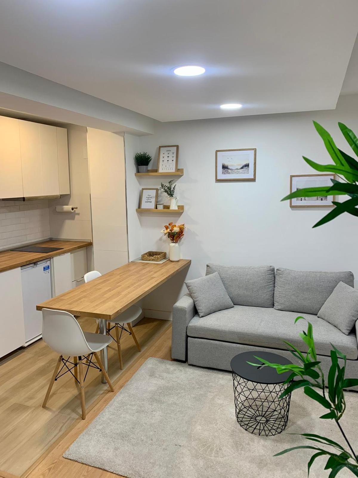 Apartamento de una habitación