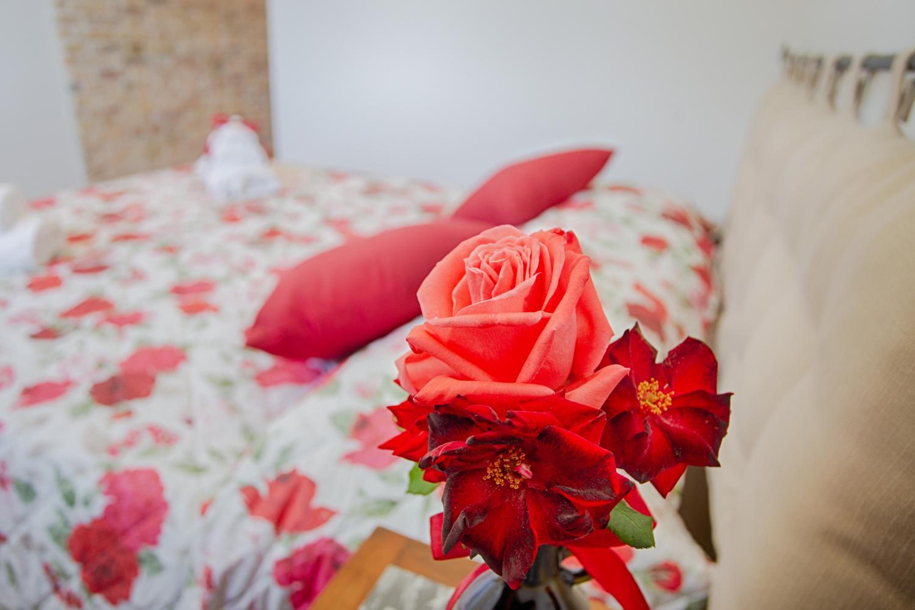 Double or Twin Room photo 1