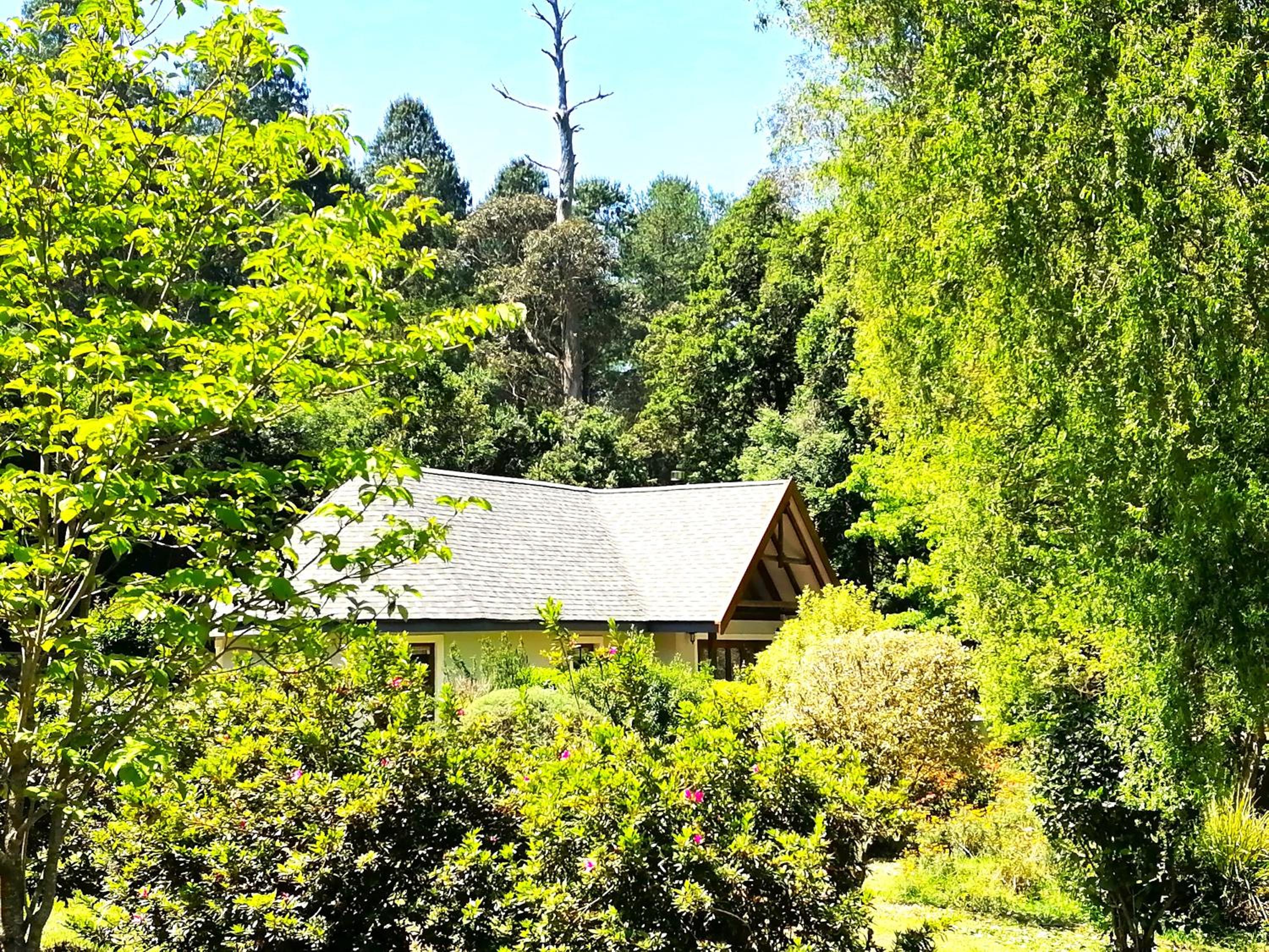 Three-Bedroom Chalet - Photo 3