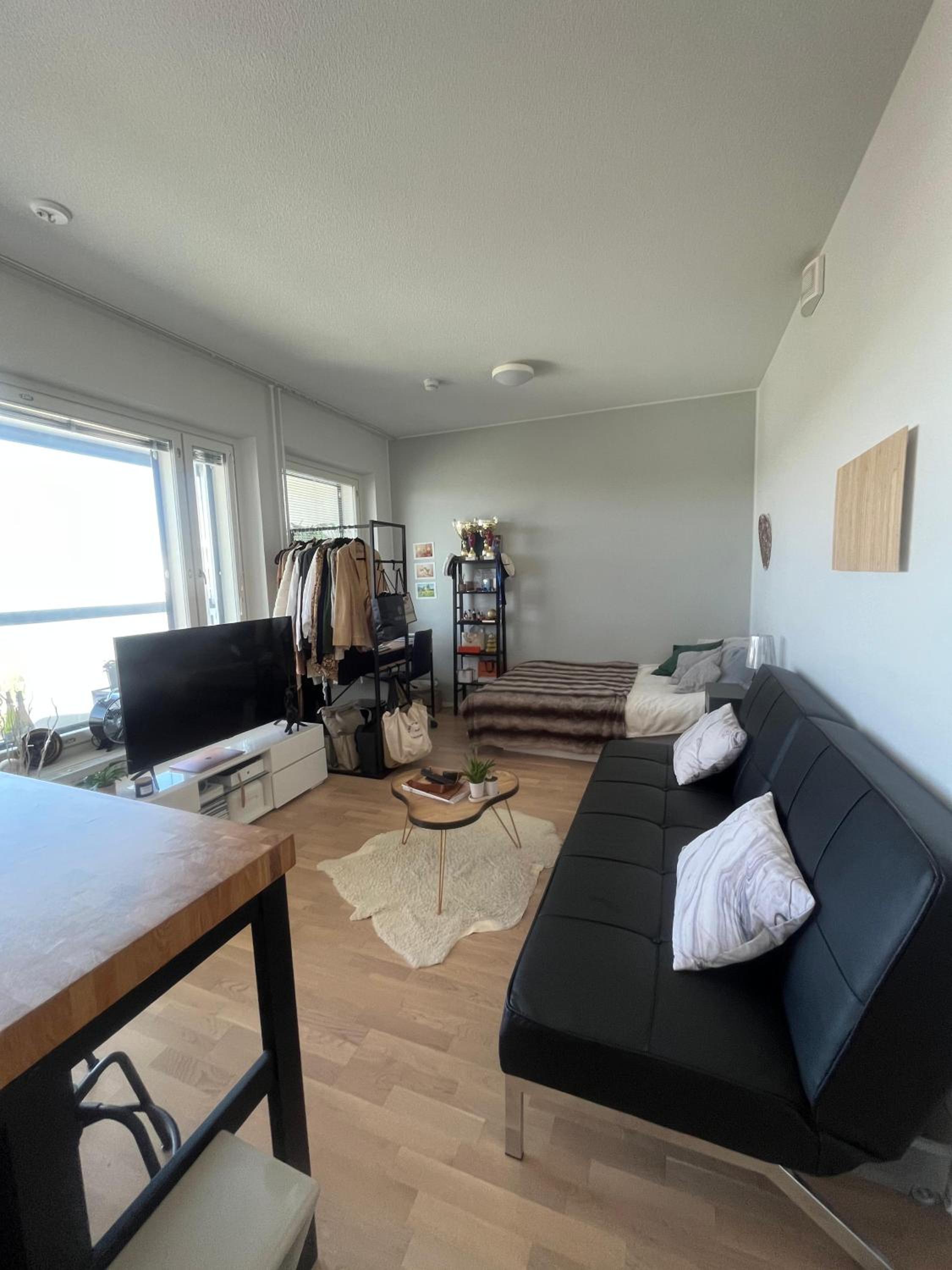 Studio With Sofa Bed photo 1
