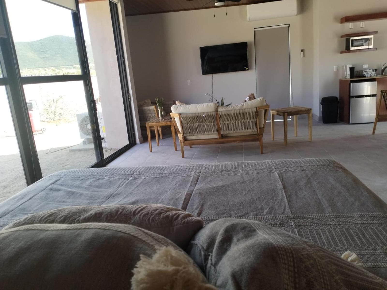 One-Bedroom Apartment - Photo 5