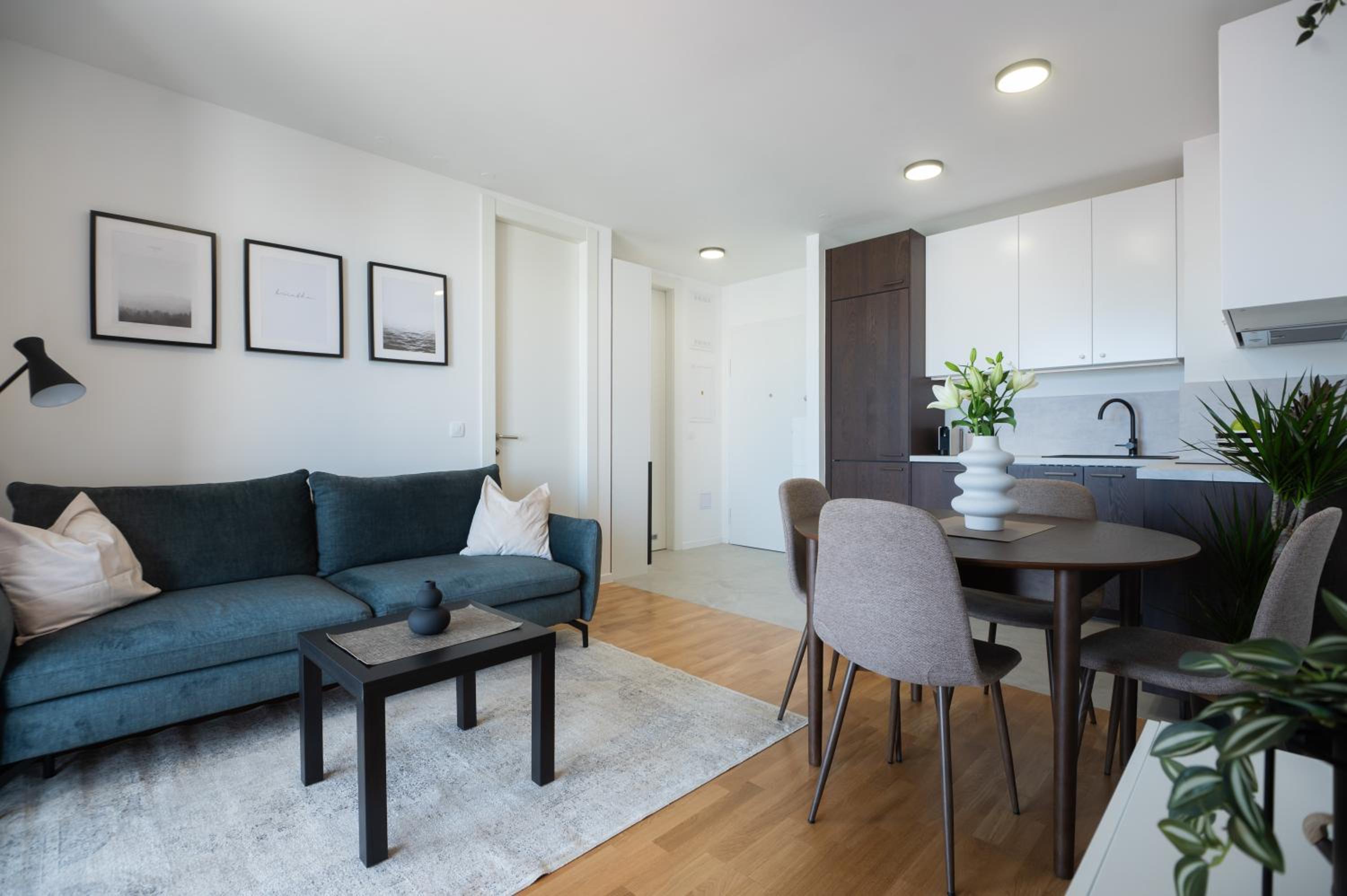 One-Bedroom Apartment