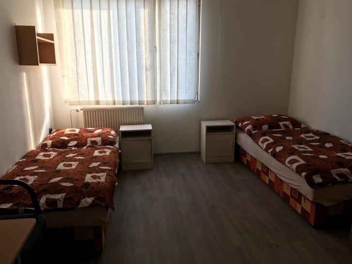 Twin Room photo 2