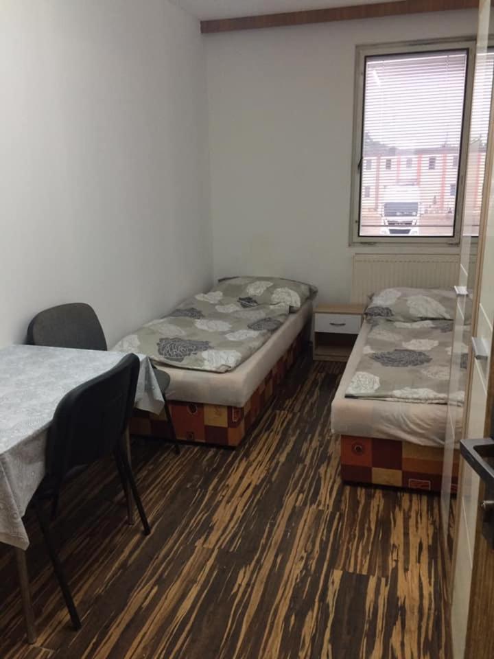 Twin Room photo 3