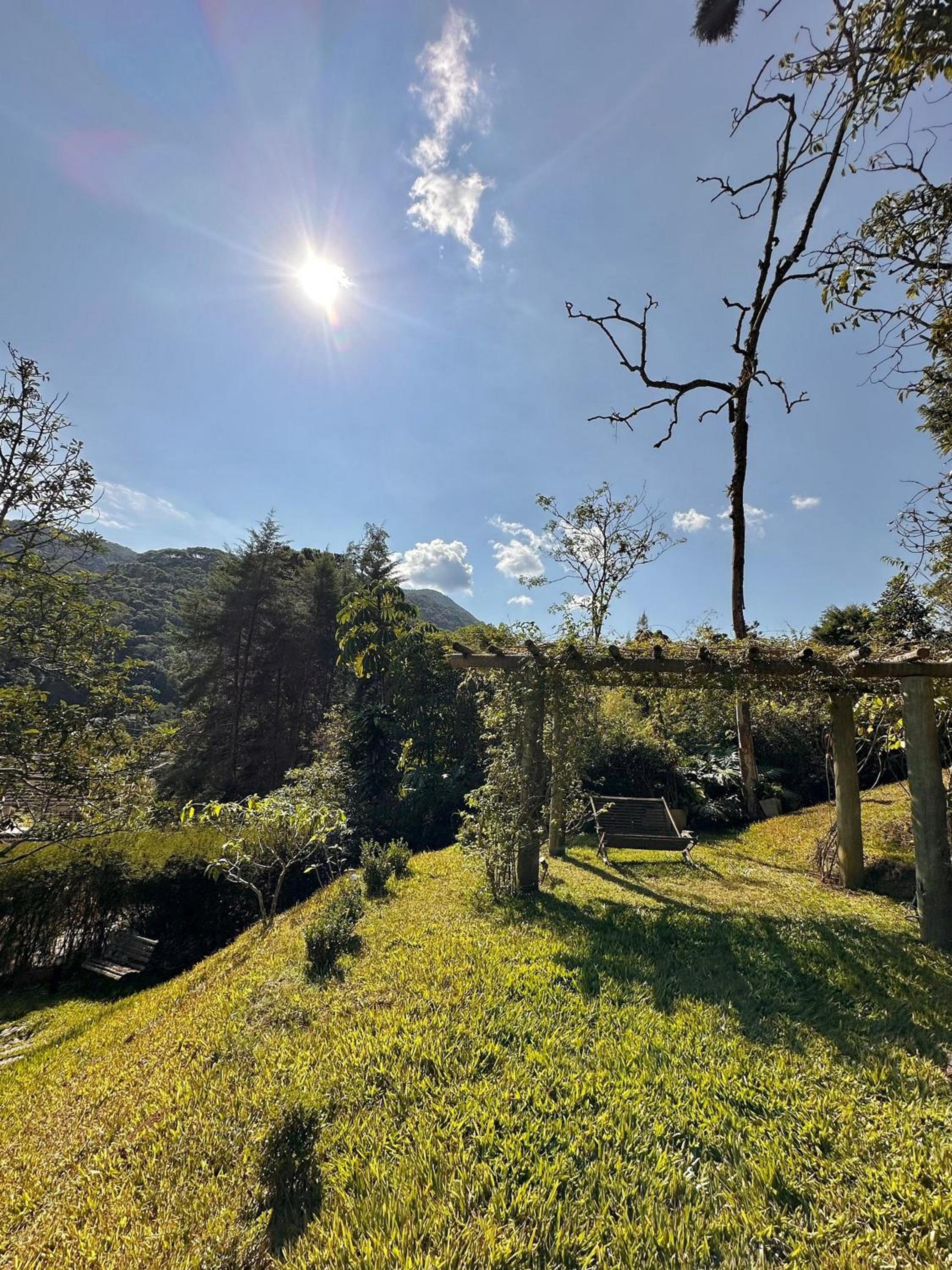 Deluxe Villa photo 2